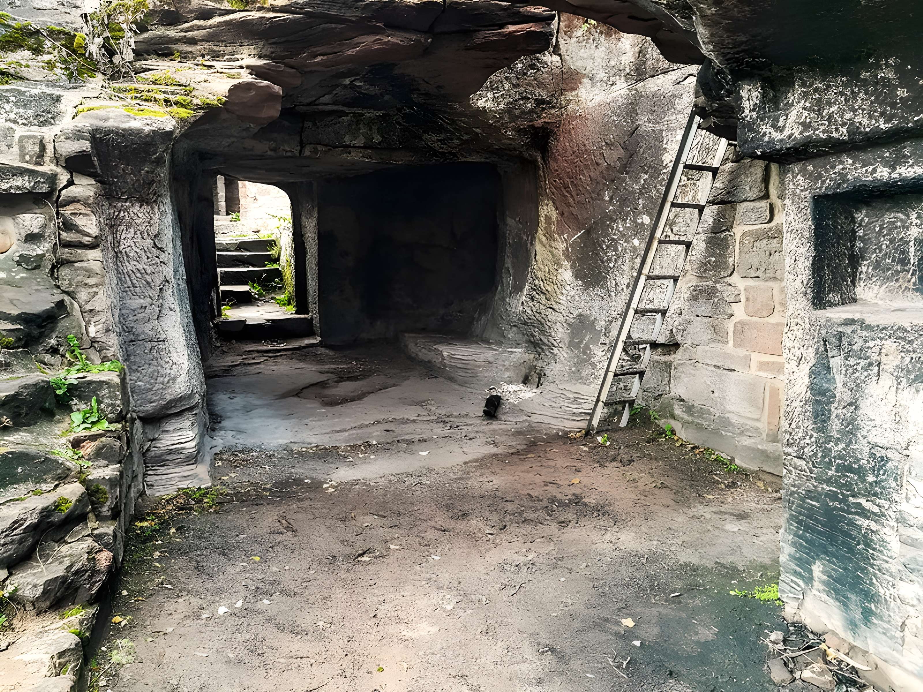 Ruines du château Wasigenstein