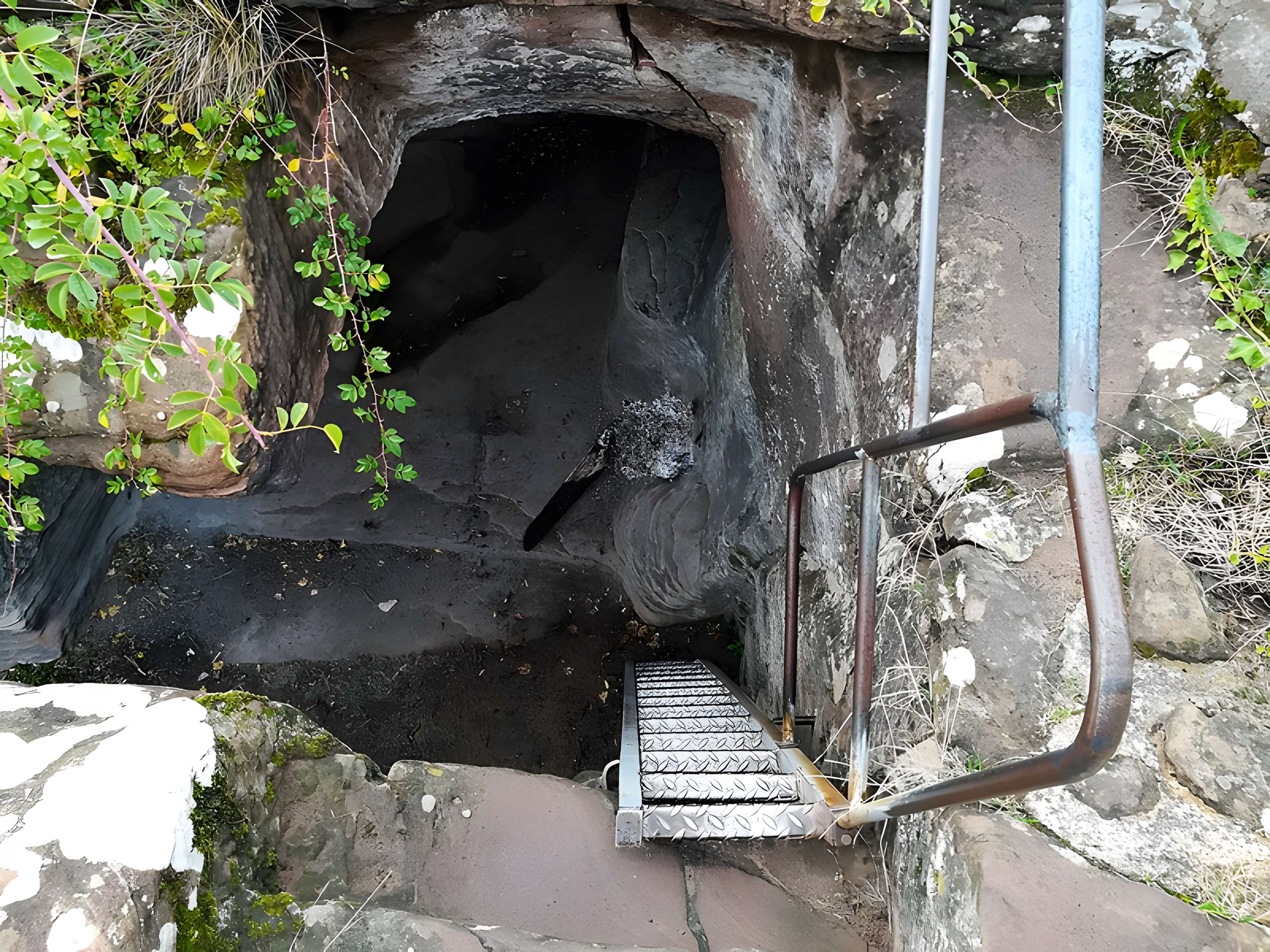 Ruines du château Wasigenstein