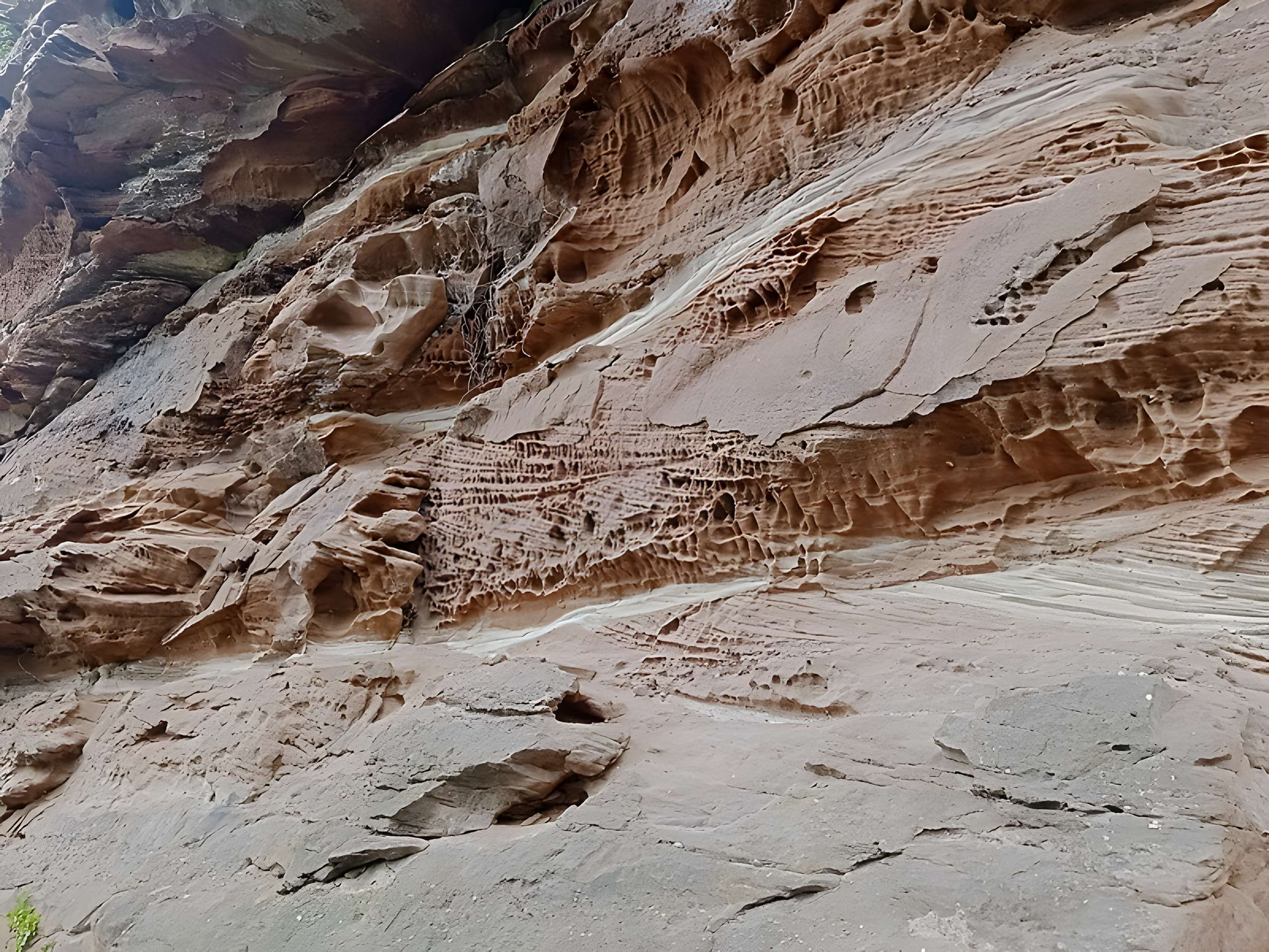 Ruines du château Wasigenstein