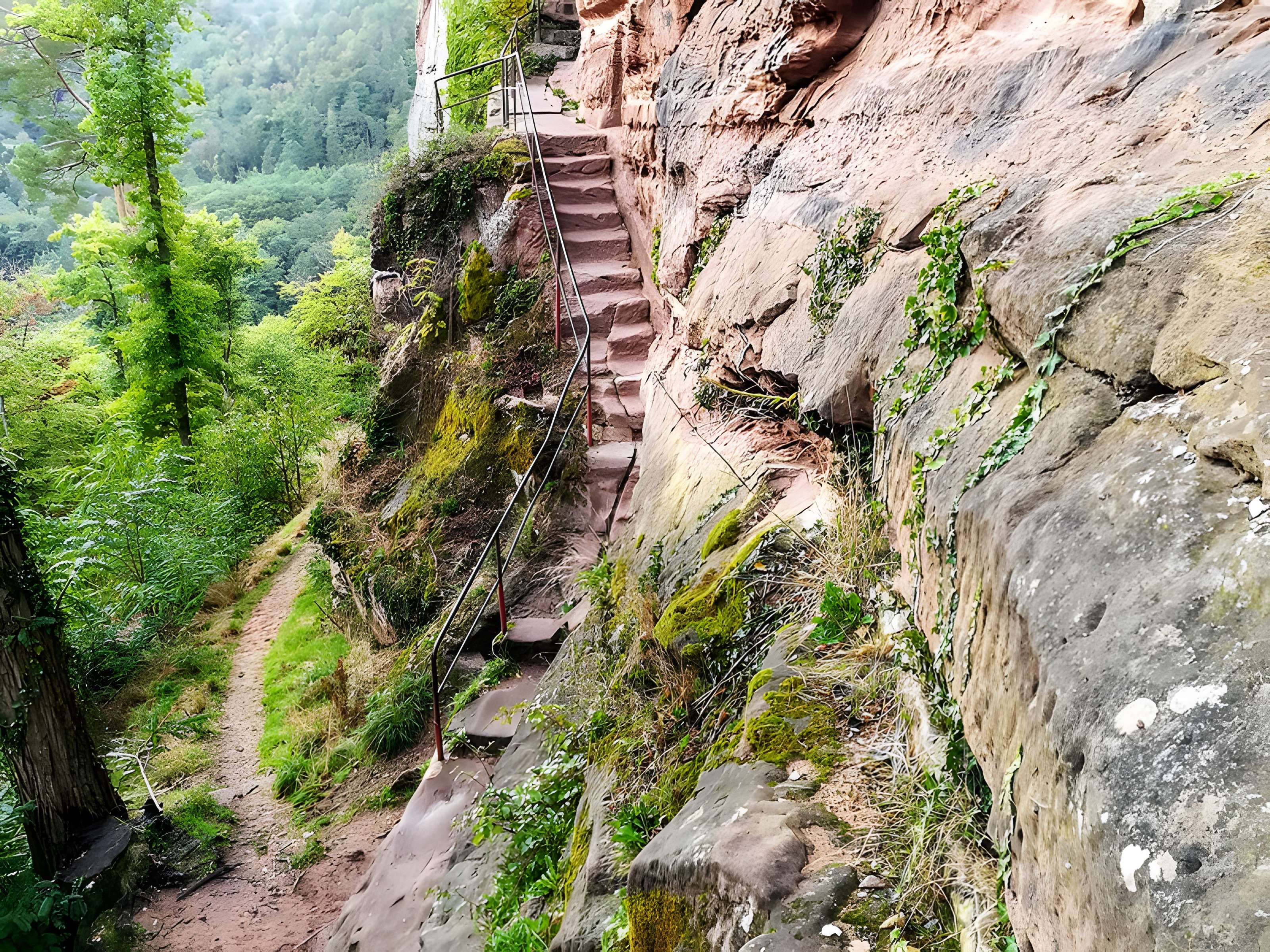 Ruines du château Wasigenstein