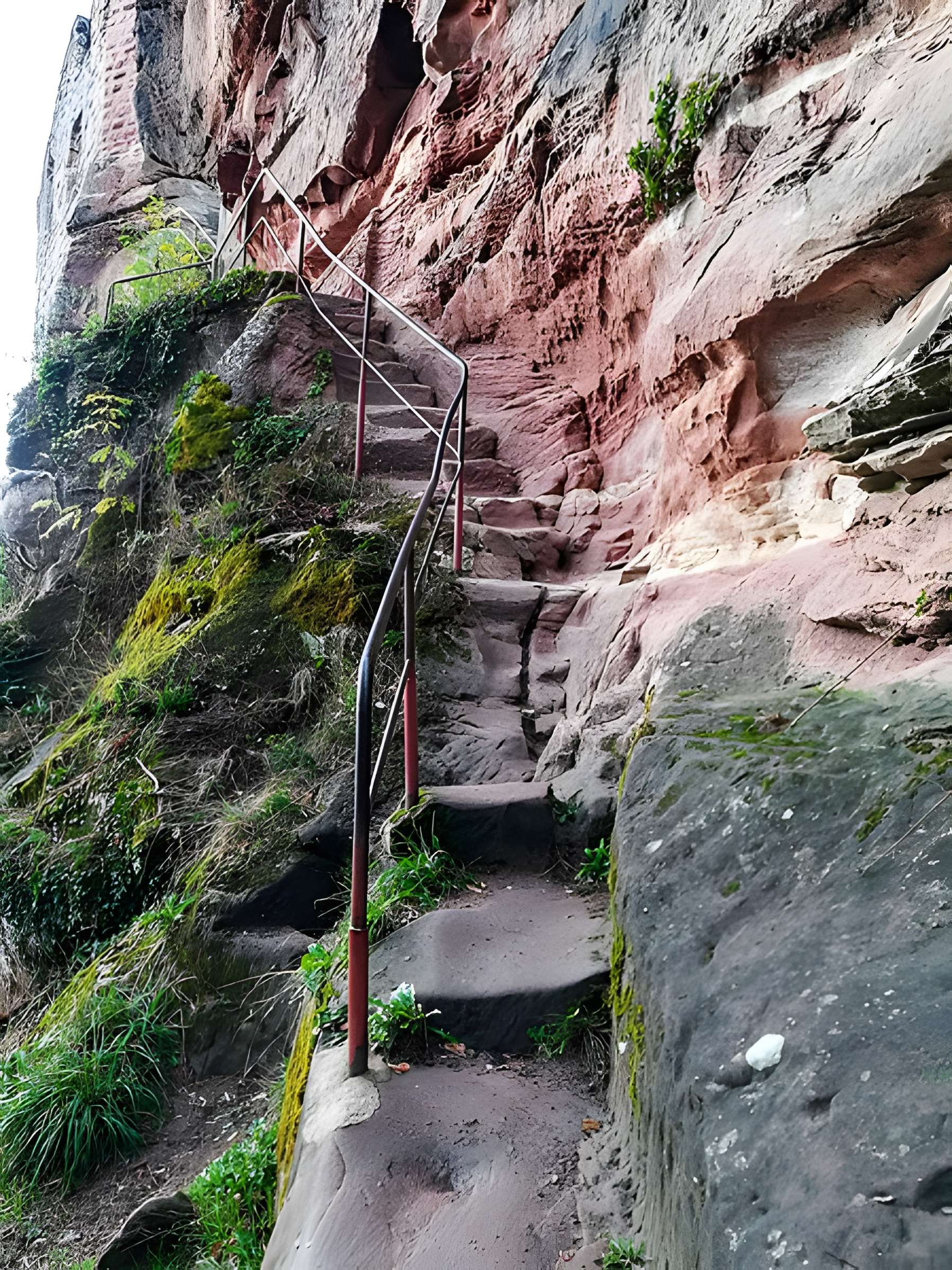 Ruines du château Wasigenstein