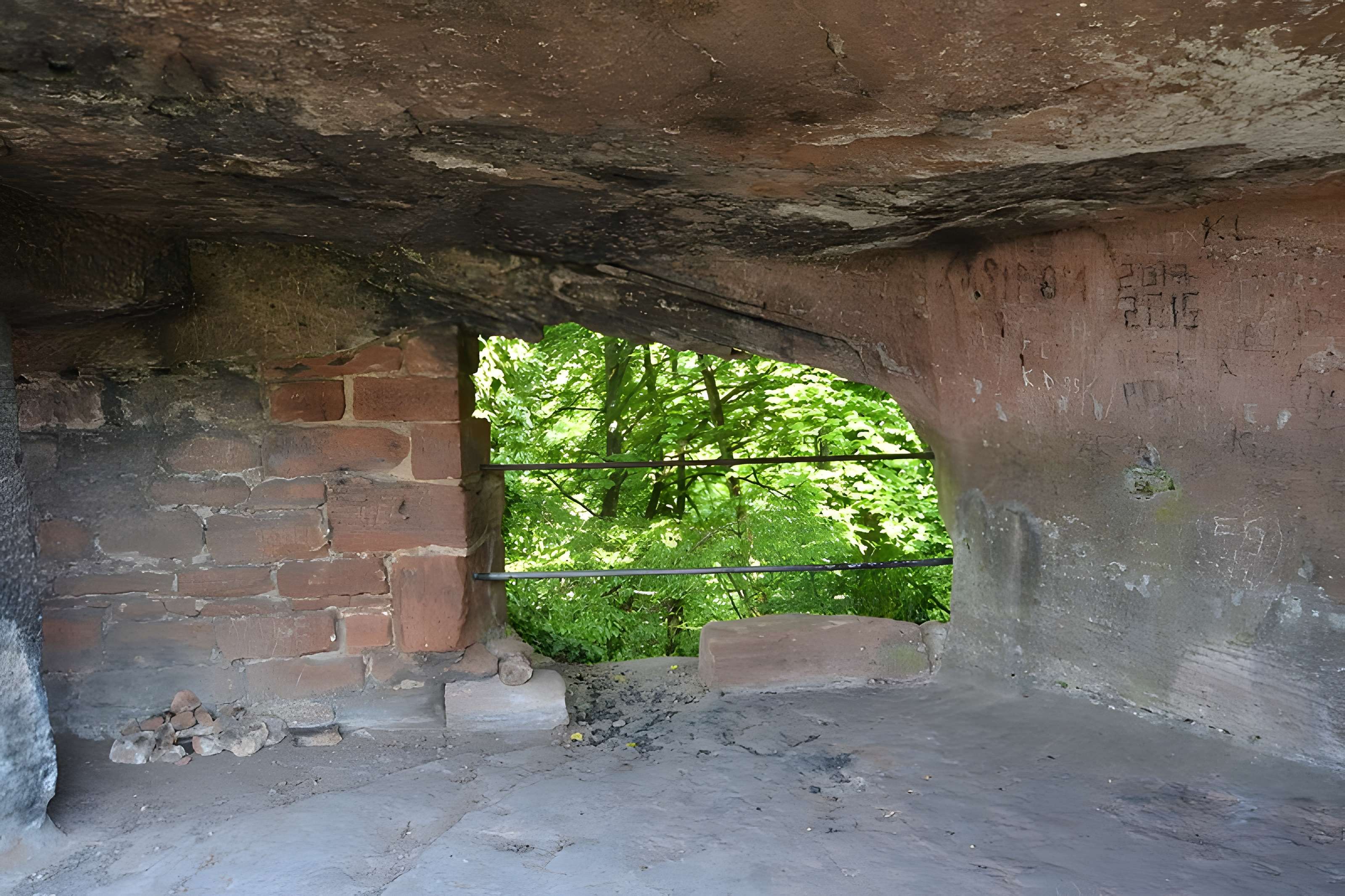 Ruines du château Wasigenstein
