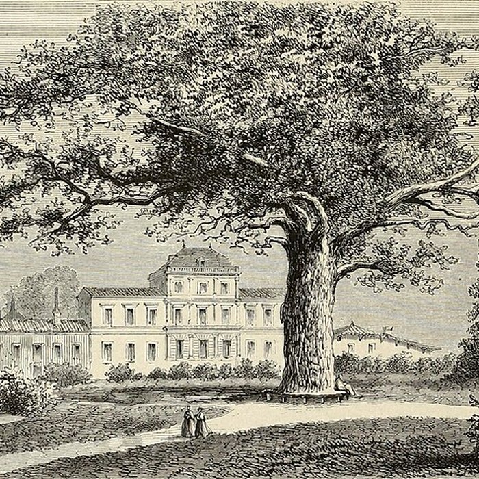 Photo de Château Giscours