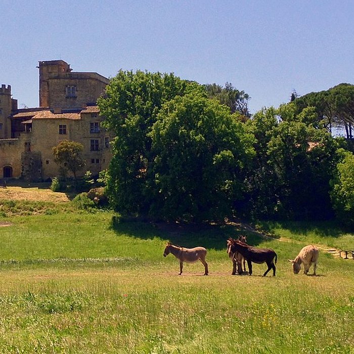 Photo de Château de Lourmarin