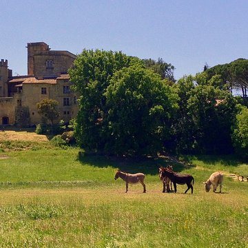 Château de Lourmarin