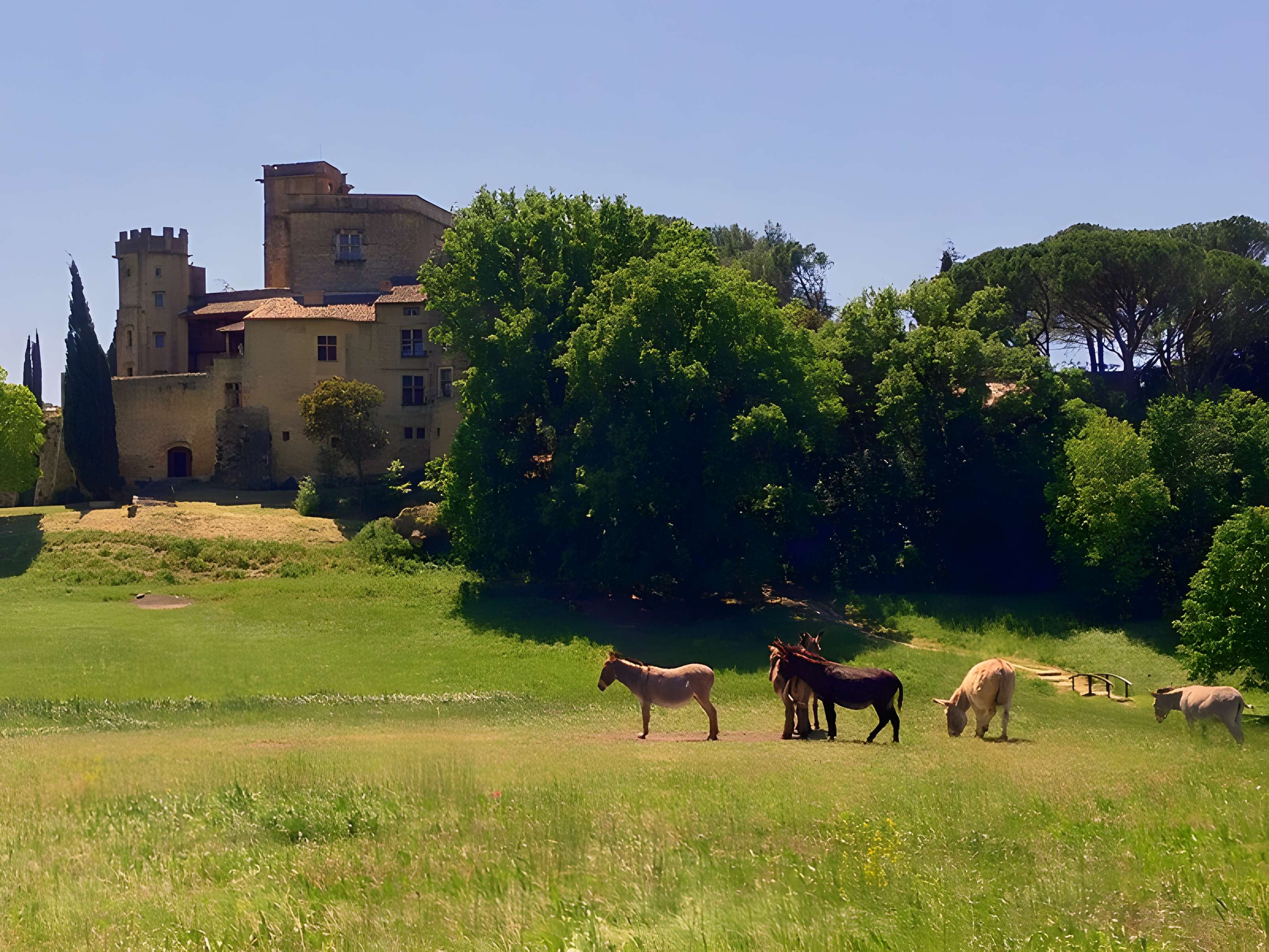 Château de Lourmarin