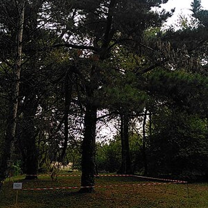 Photo de Château Saint-Clair de Derval