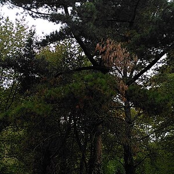 Photo de Château Saint-Clair de Derval