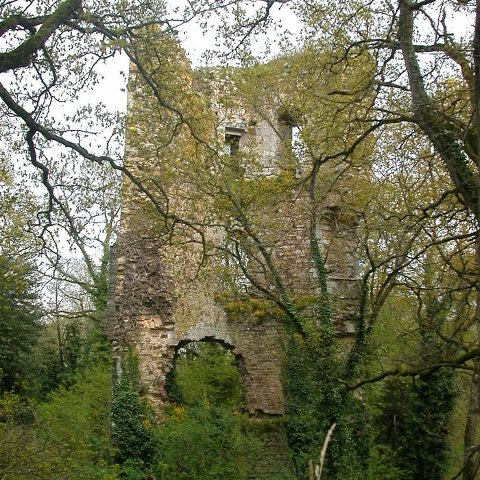 Photo de Château Saint-Clair de Derval