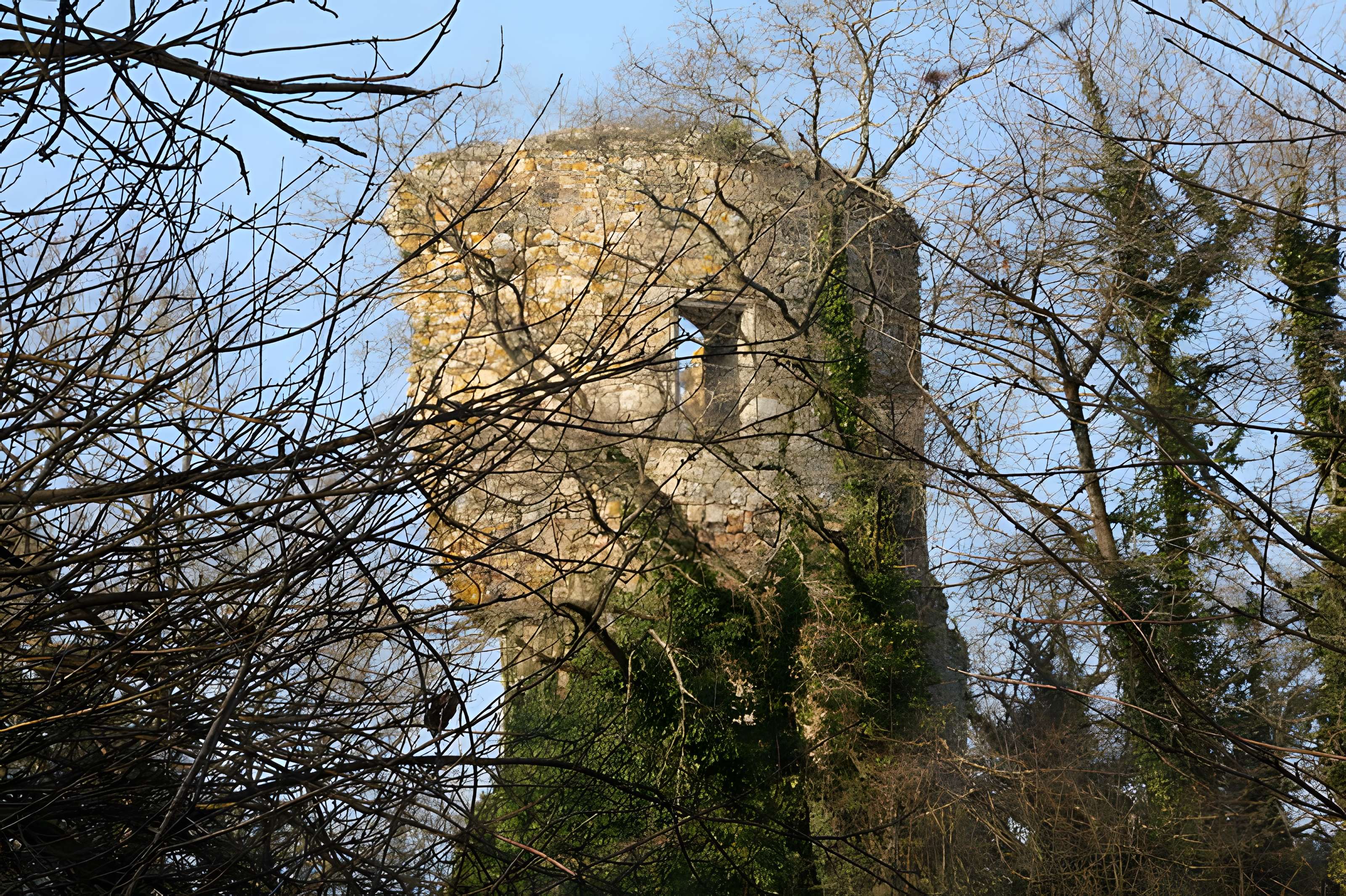 Château Saint-Clair de Derval