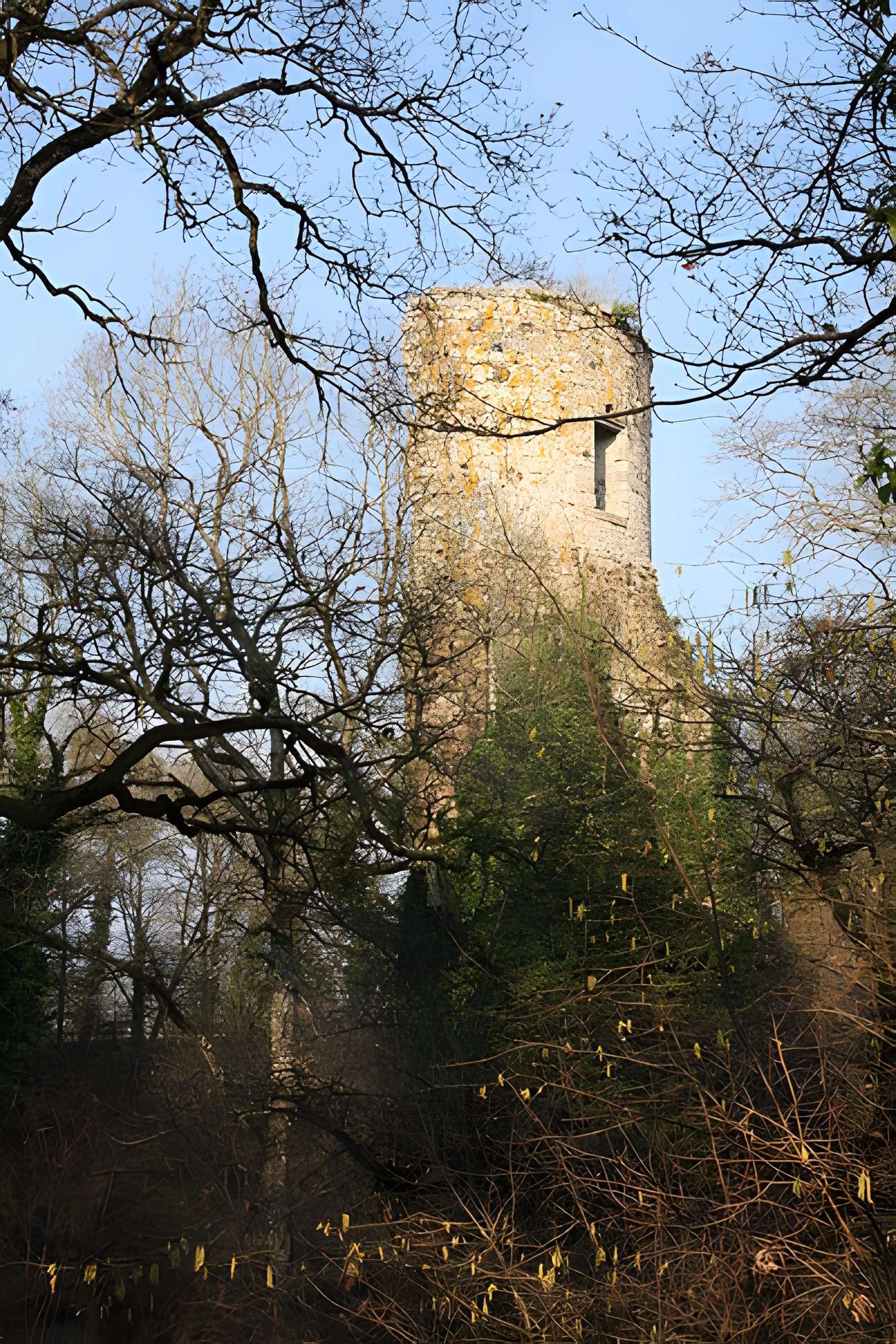Château Saint-Clair de Derval