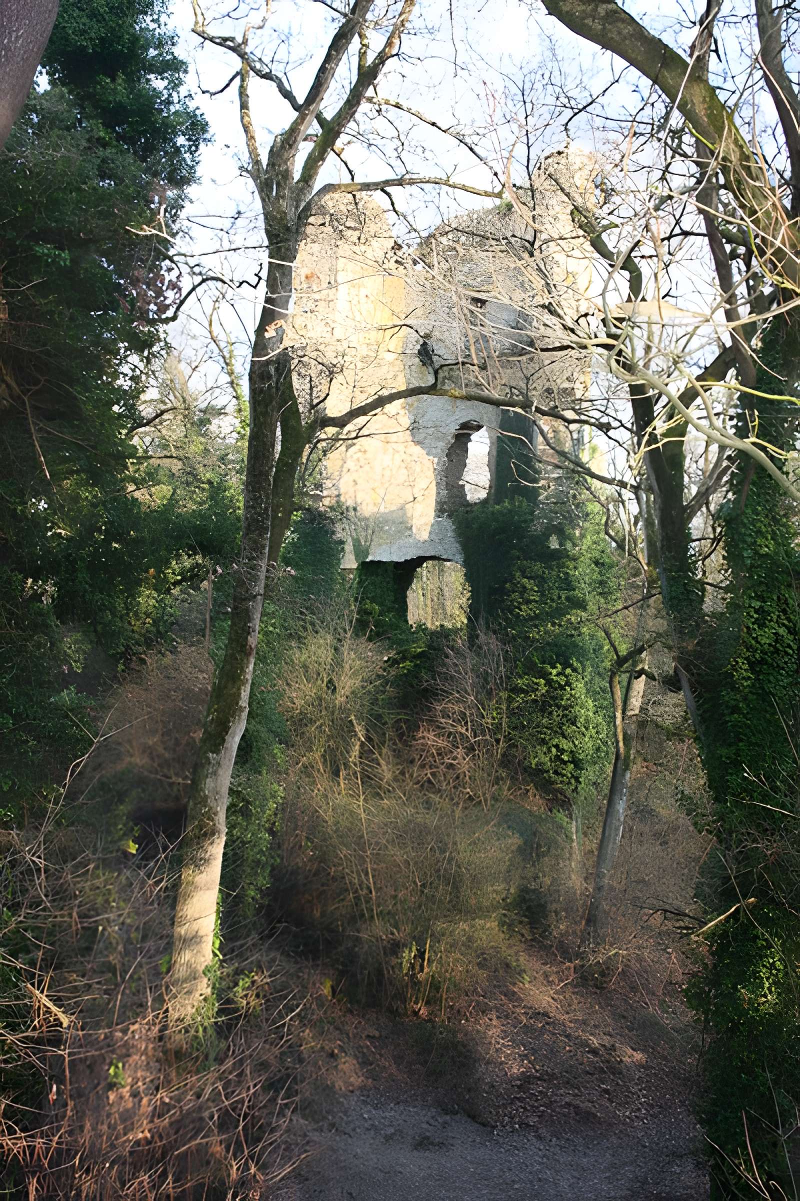 Château Saint-Clair de Derval