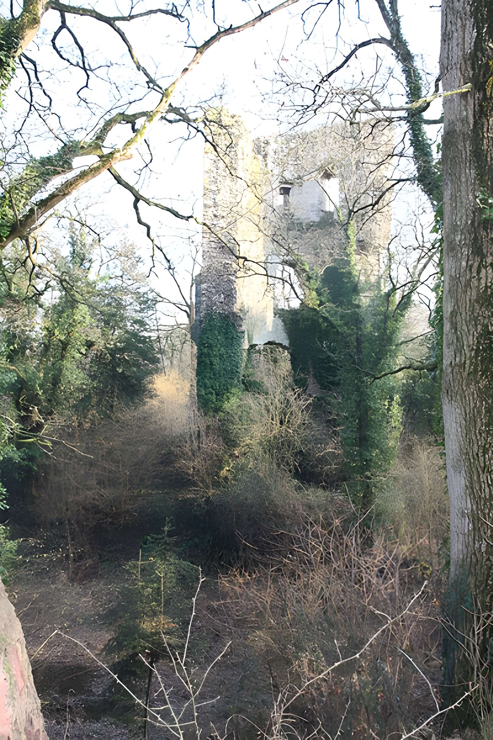 Château Saint-Clair de Derval