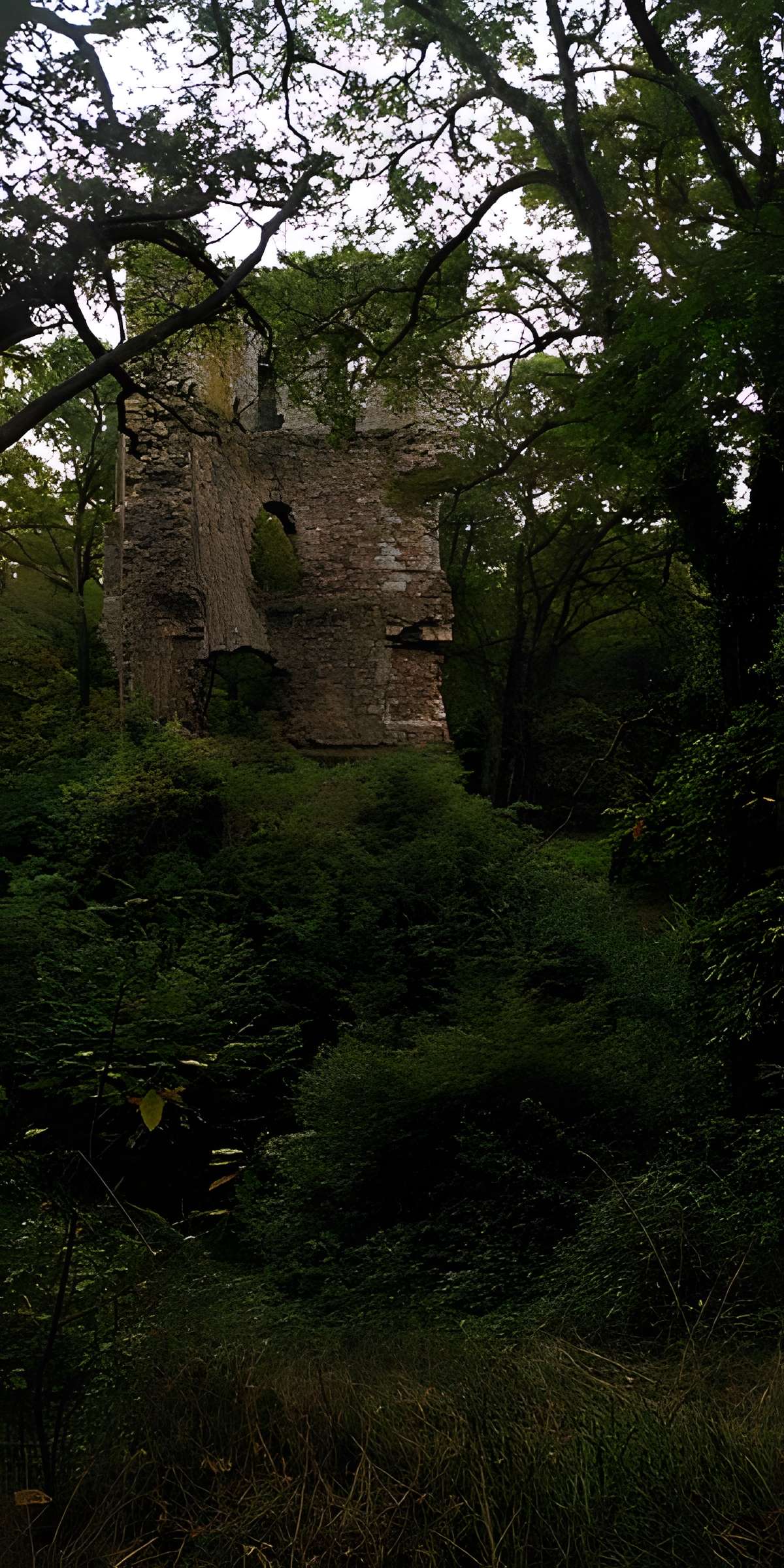 Château Saint-Clair de Derval