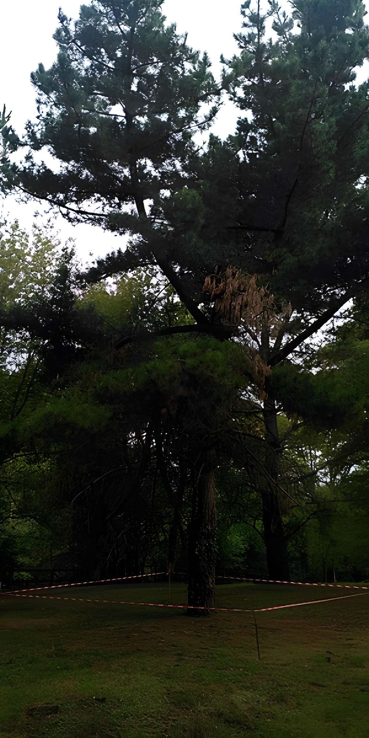 Château Saint-Clair de Derval