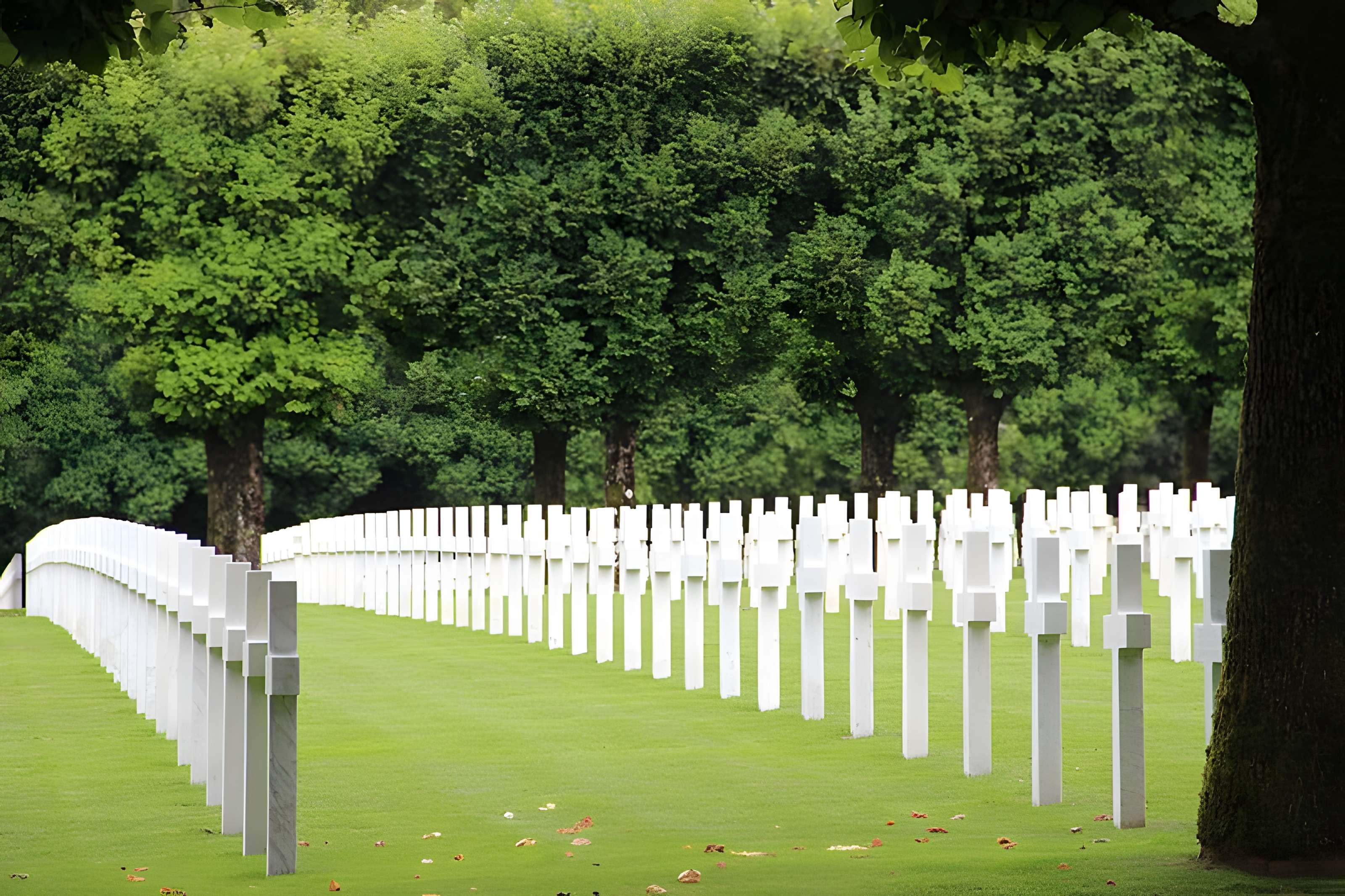 Cimetière américain de Romagne-sous-Montfaucon 
