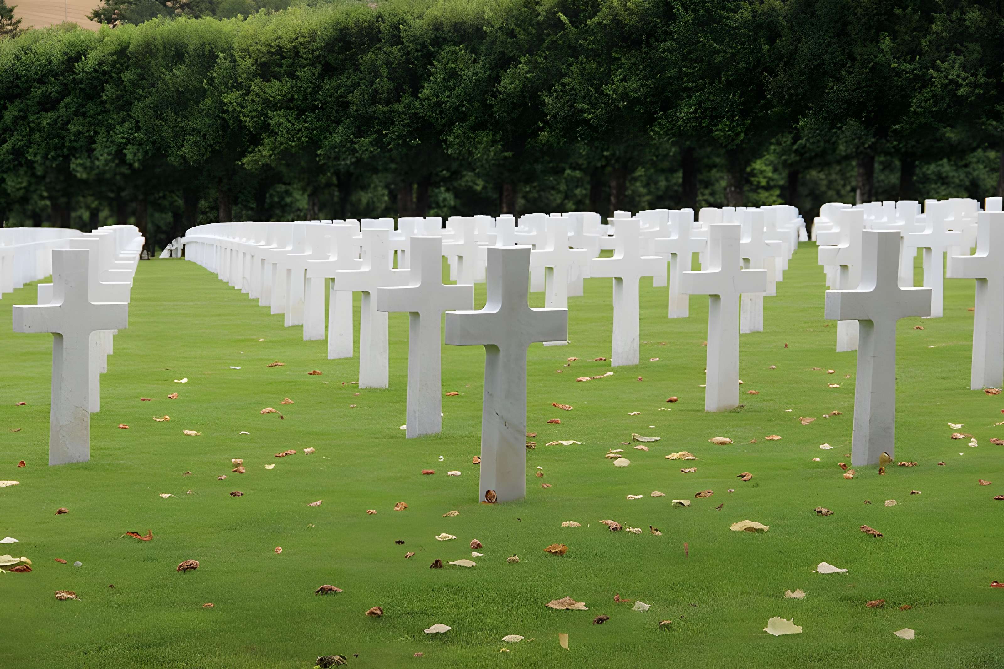 Cimetière américain de Romagne-sous-Montfaucon 