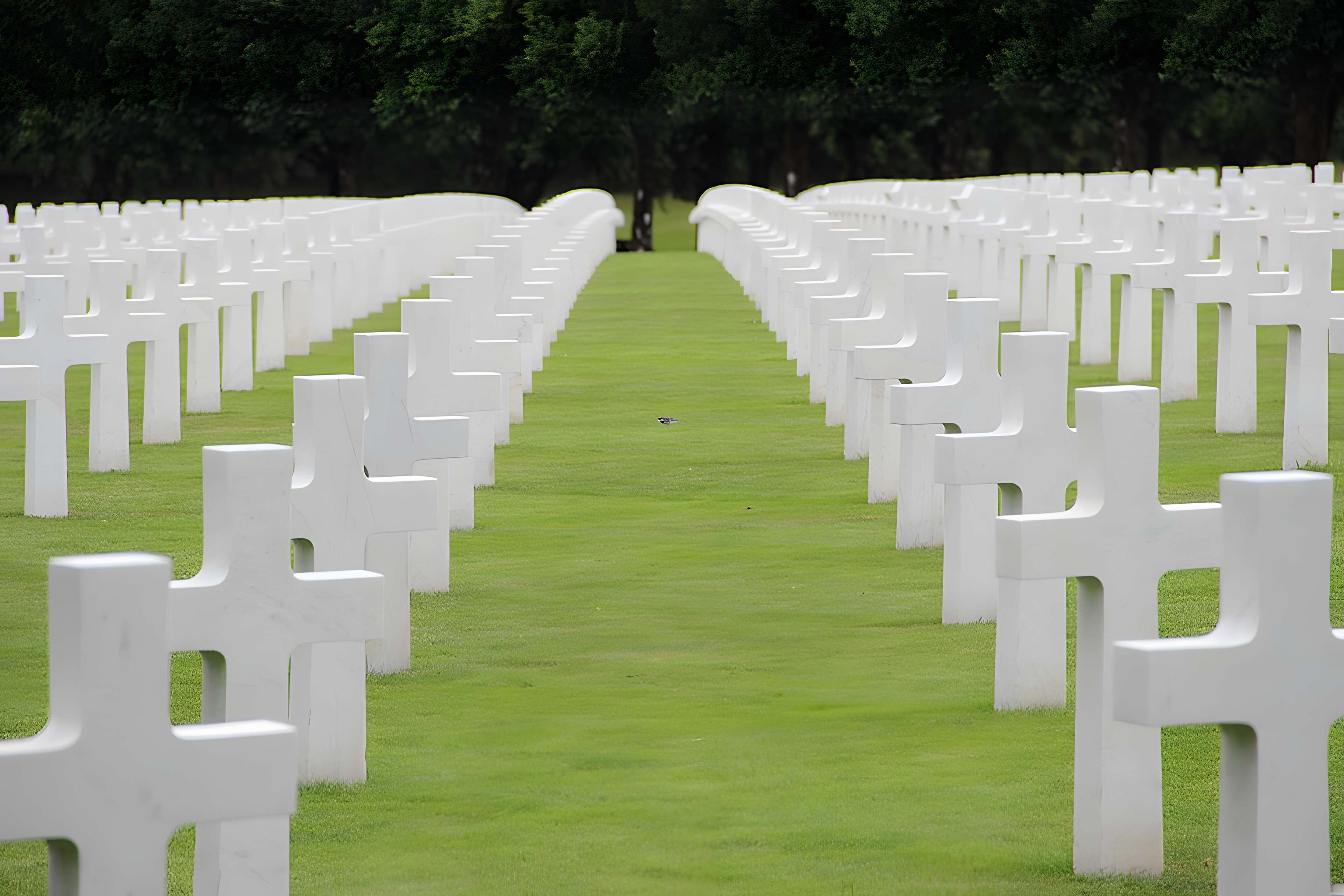 Cimetière américain de Romagne-sous-Montfaucon 