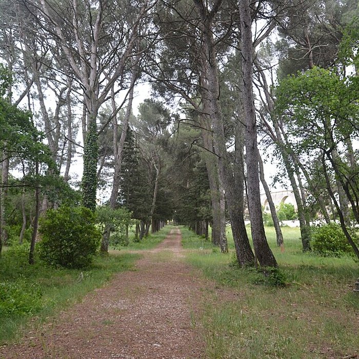 Photo de Cimetière juif de Carpentras