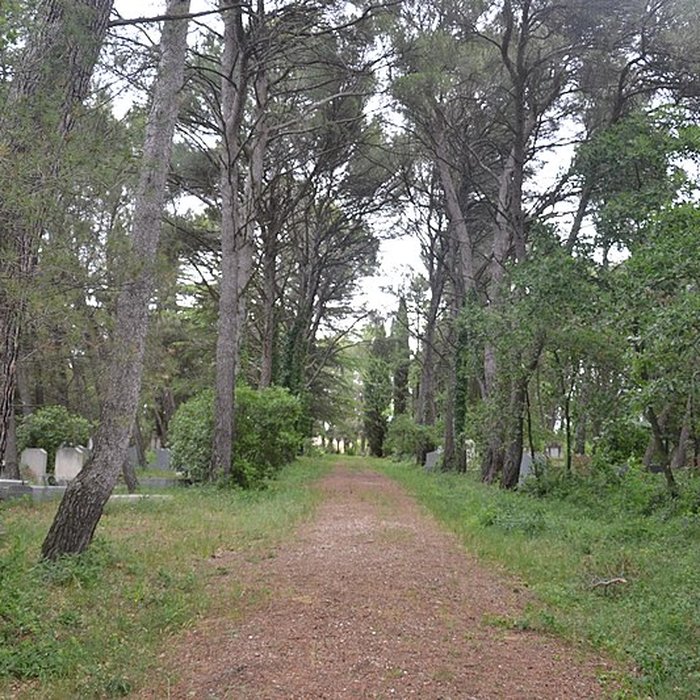 Photo de Cimetière juif de Carpentras
