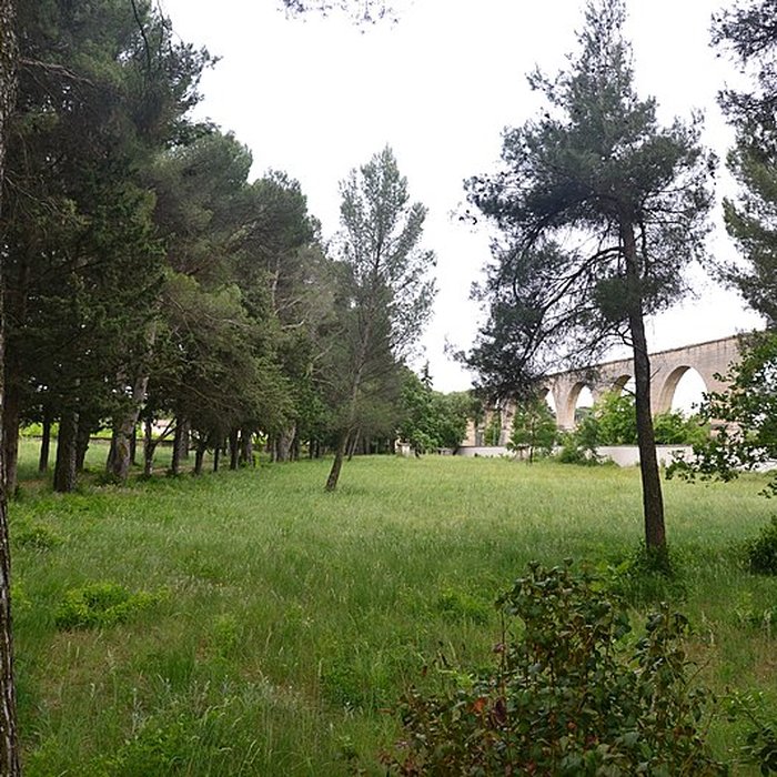 Photo de Cimetière juif de Carpentras
