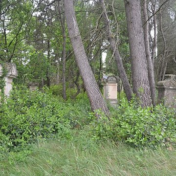 Cimetière juif de Carpentras