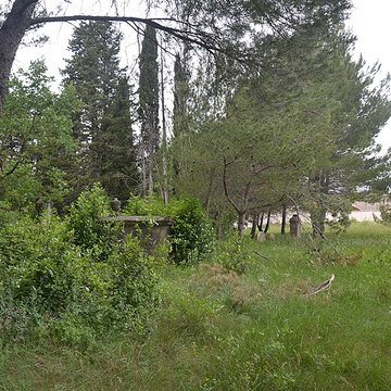 Cimetière juif de Carpentras