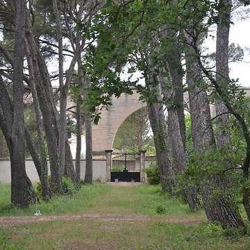 Cimetière juif de Carpentras