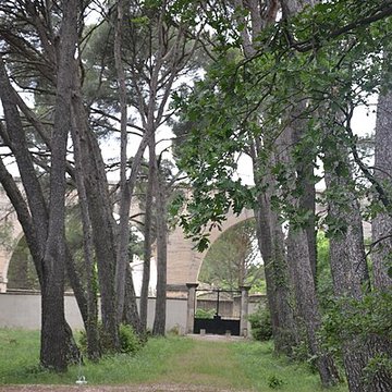 Cimetière juif de Carpentras