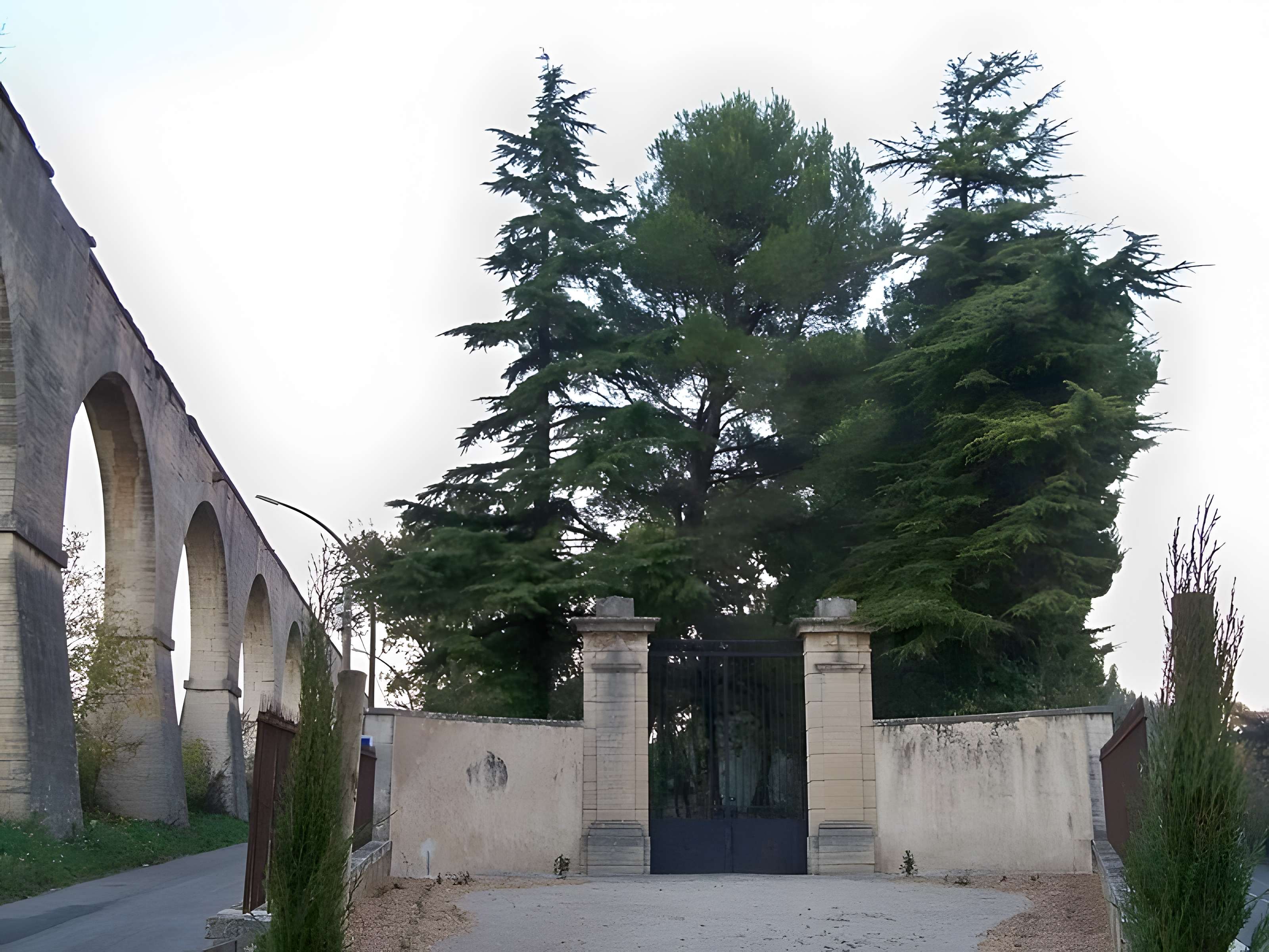 Cimetière juif de Carpentras 