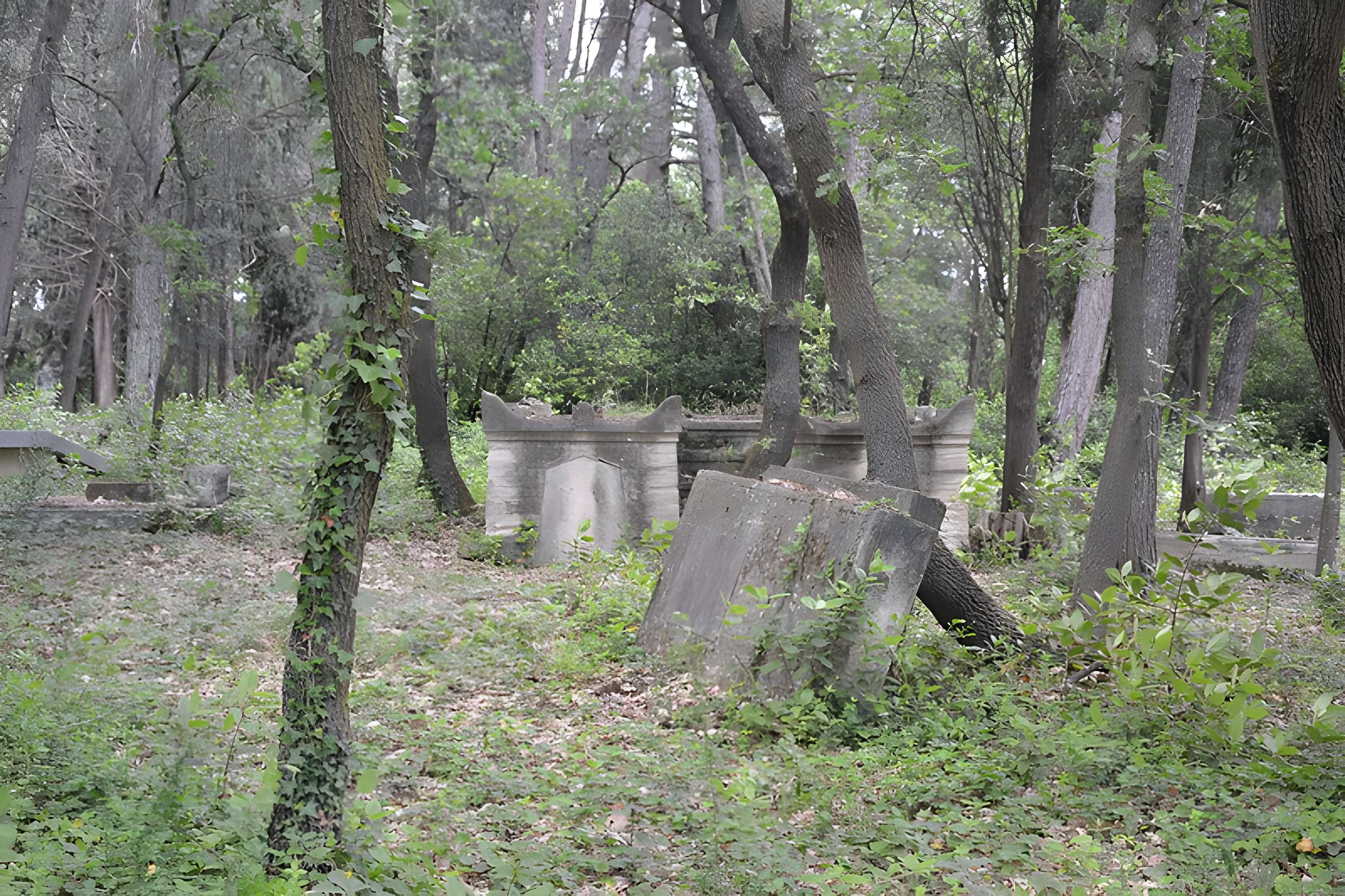 Cimetière juif de Carpentras