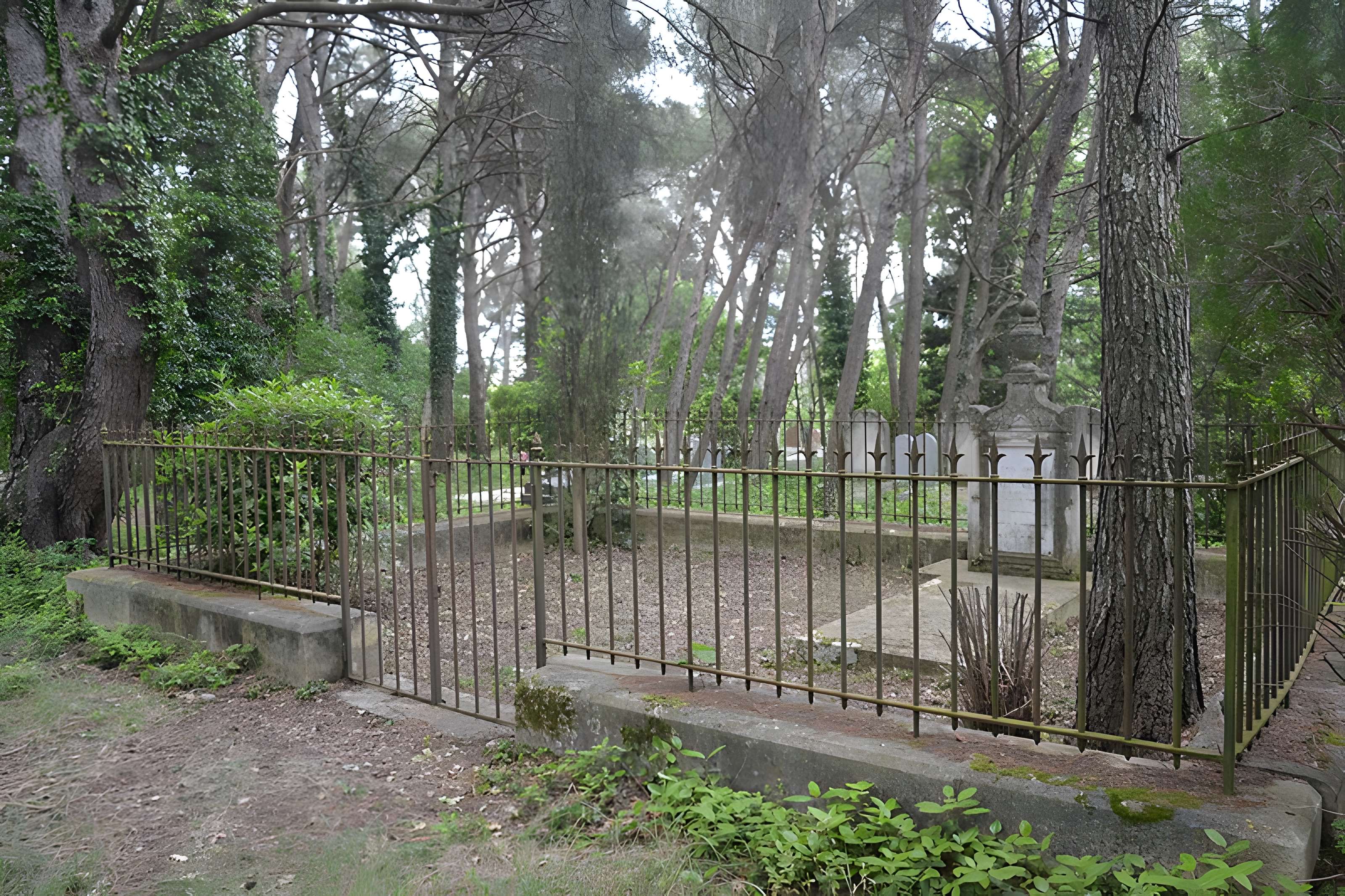 Cimetière juif de Carpentras