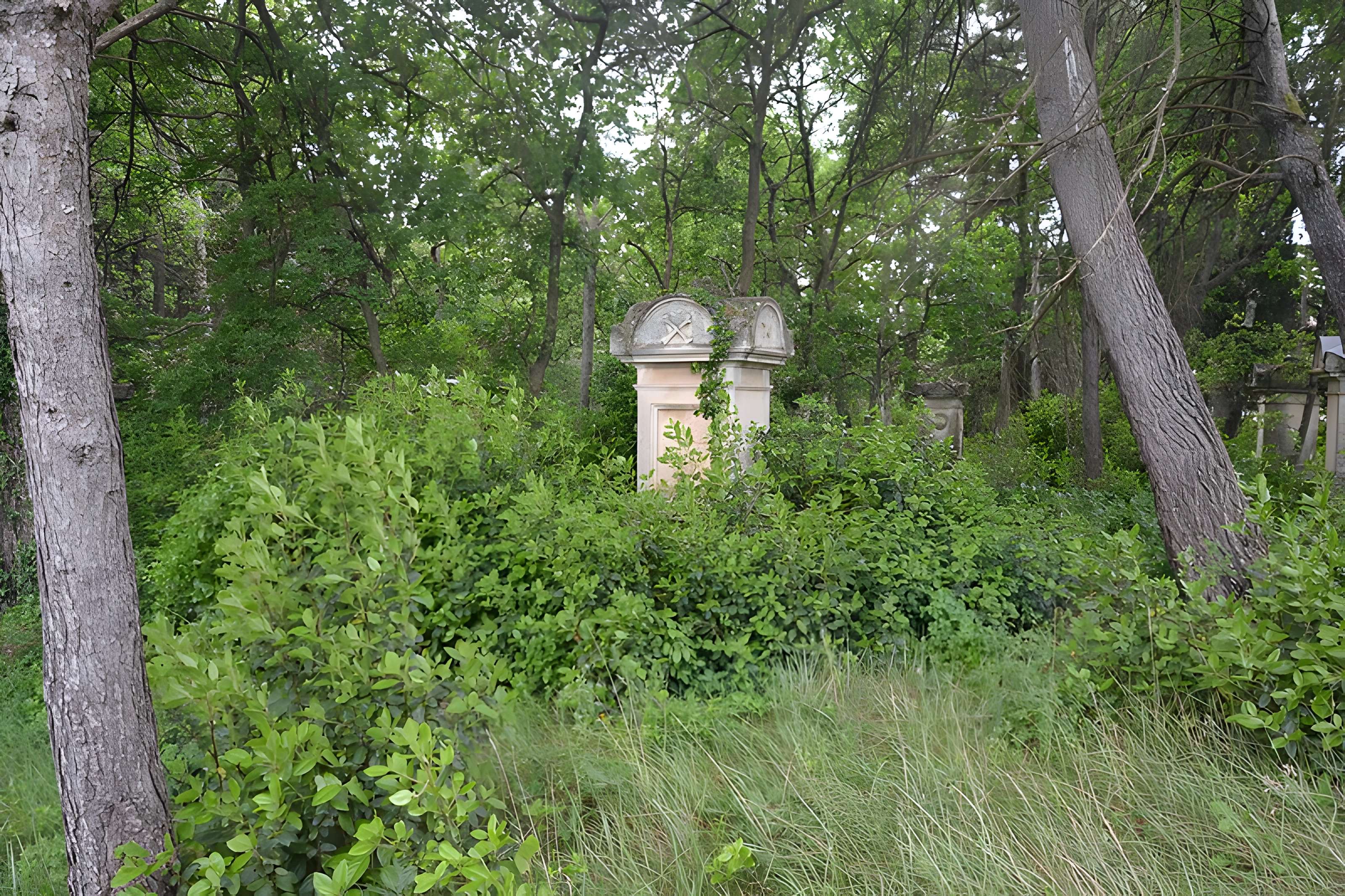Cimetière juif de Carpentras