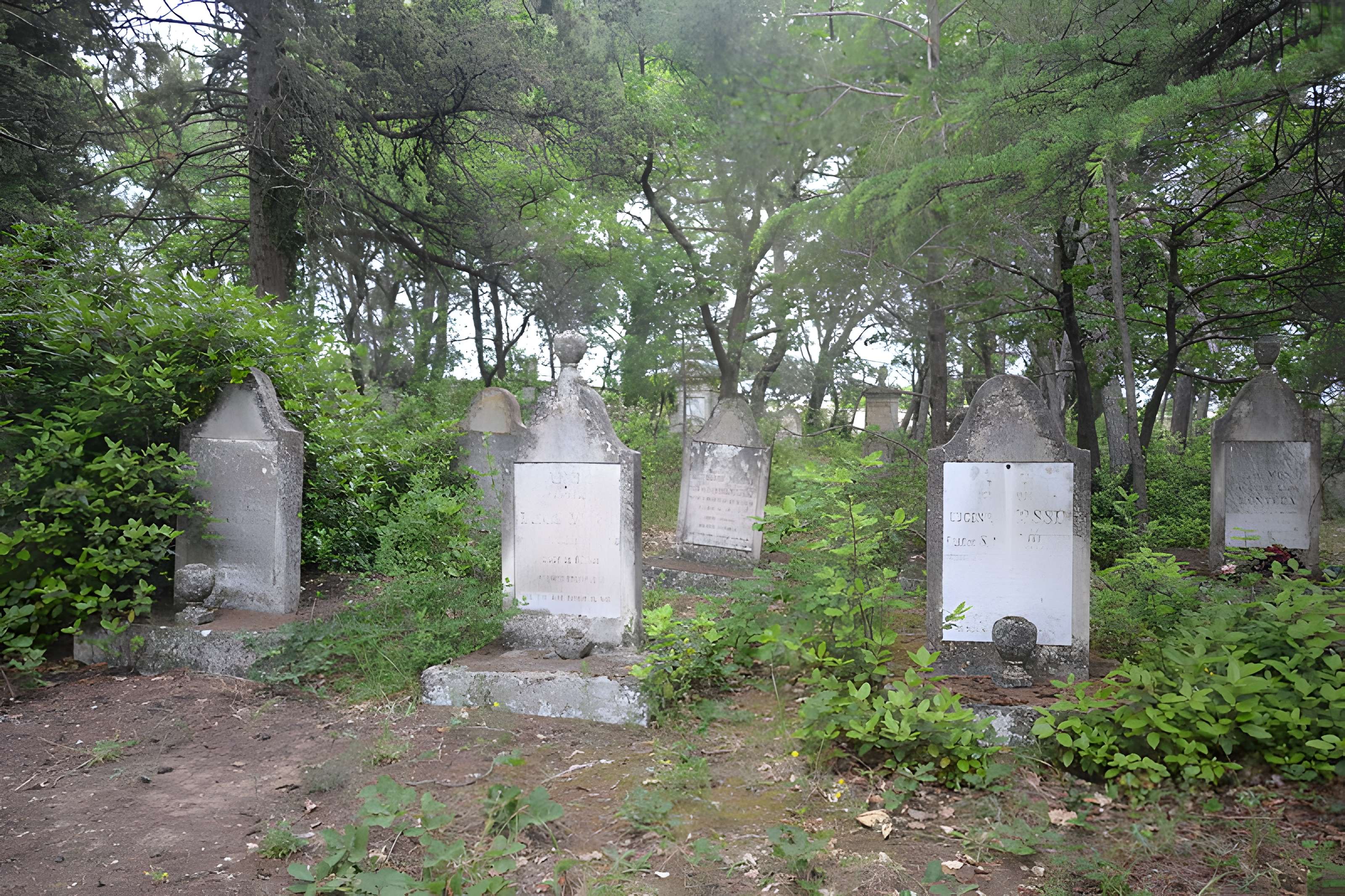 Cimetière juif de Carpentras