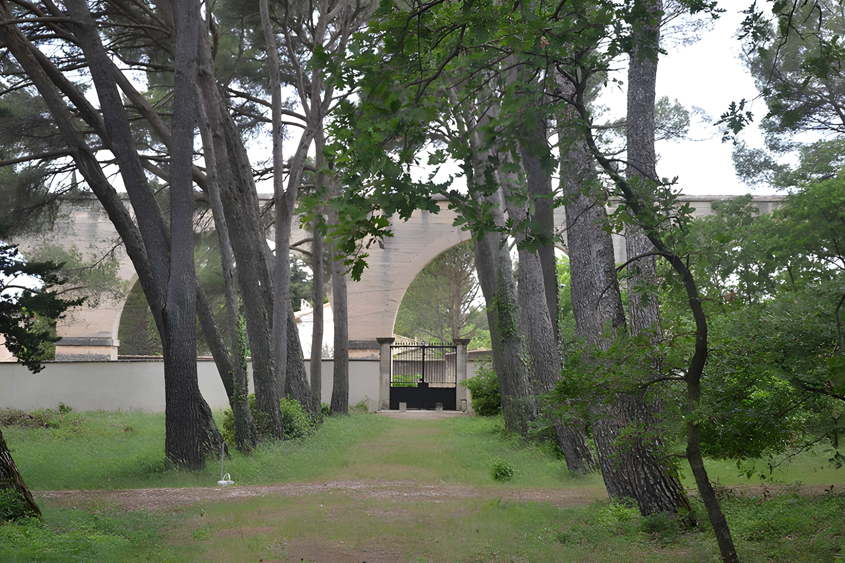 Cimetière juif de Carpentras