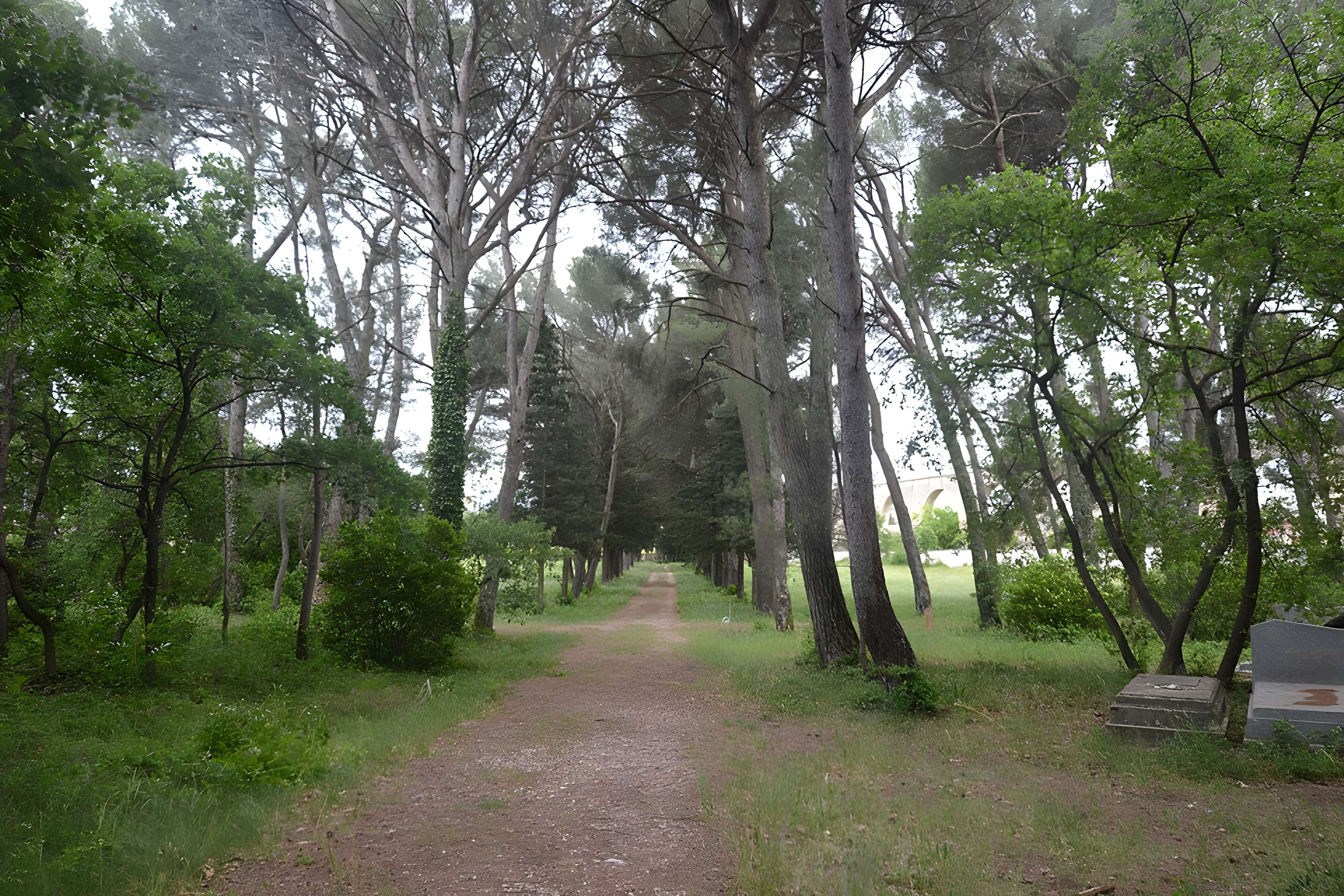 Cimetière juif de Carpentras