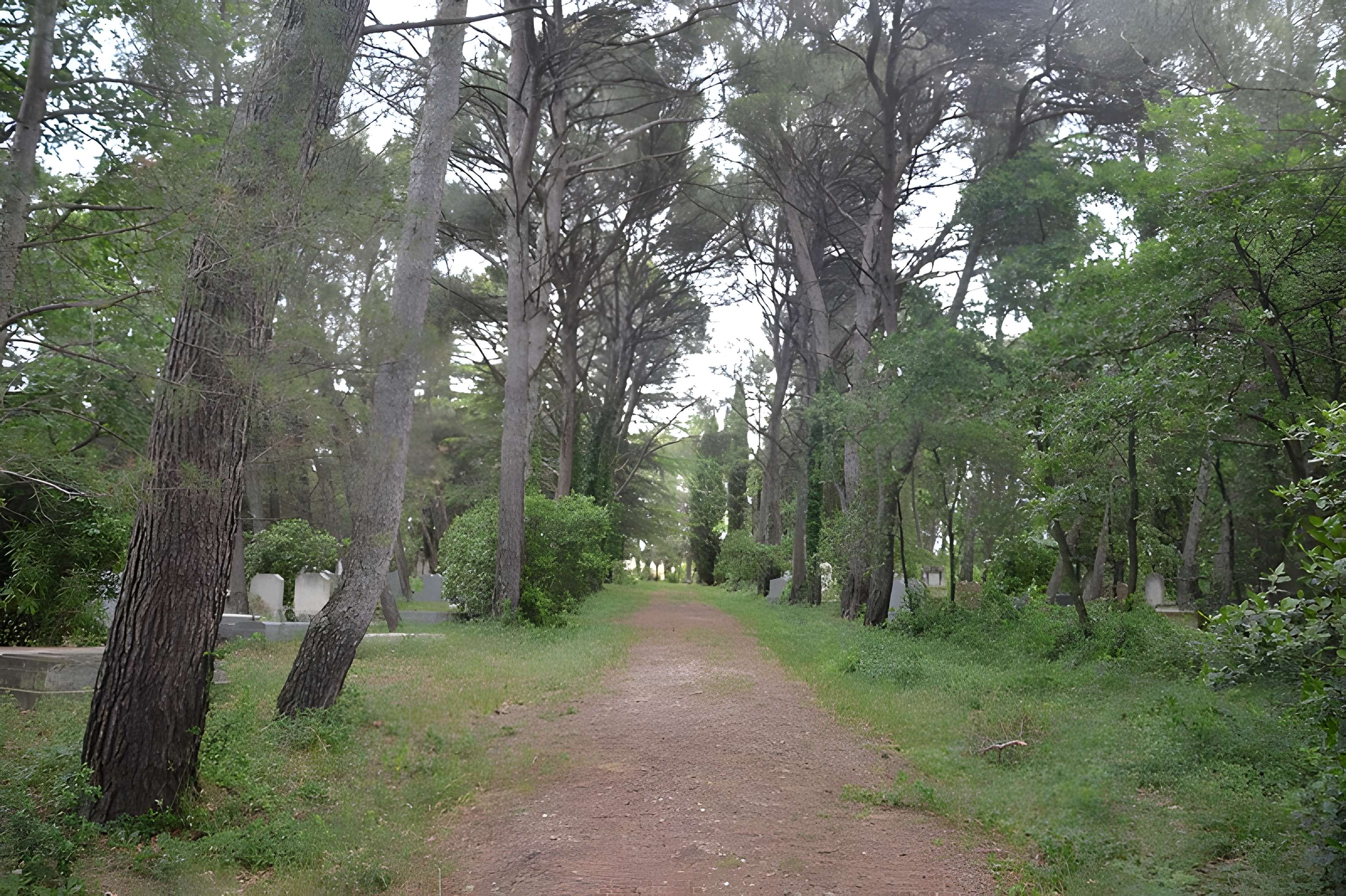 Cimetière juif de Carpentras