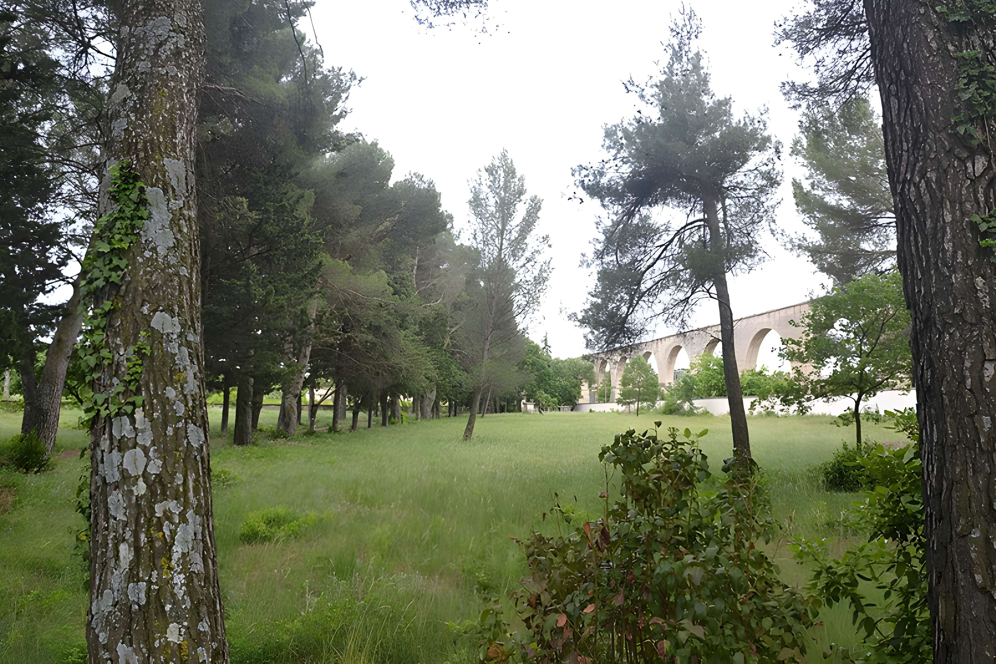 Cimetière juif de Carpentras