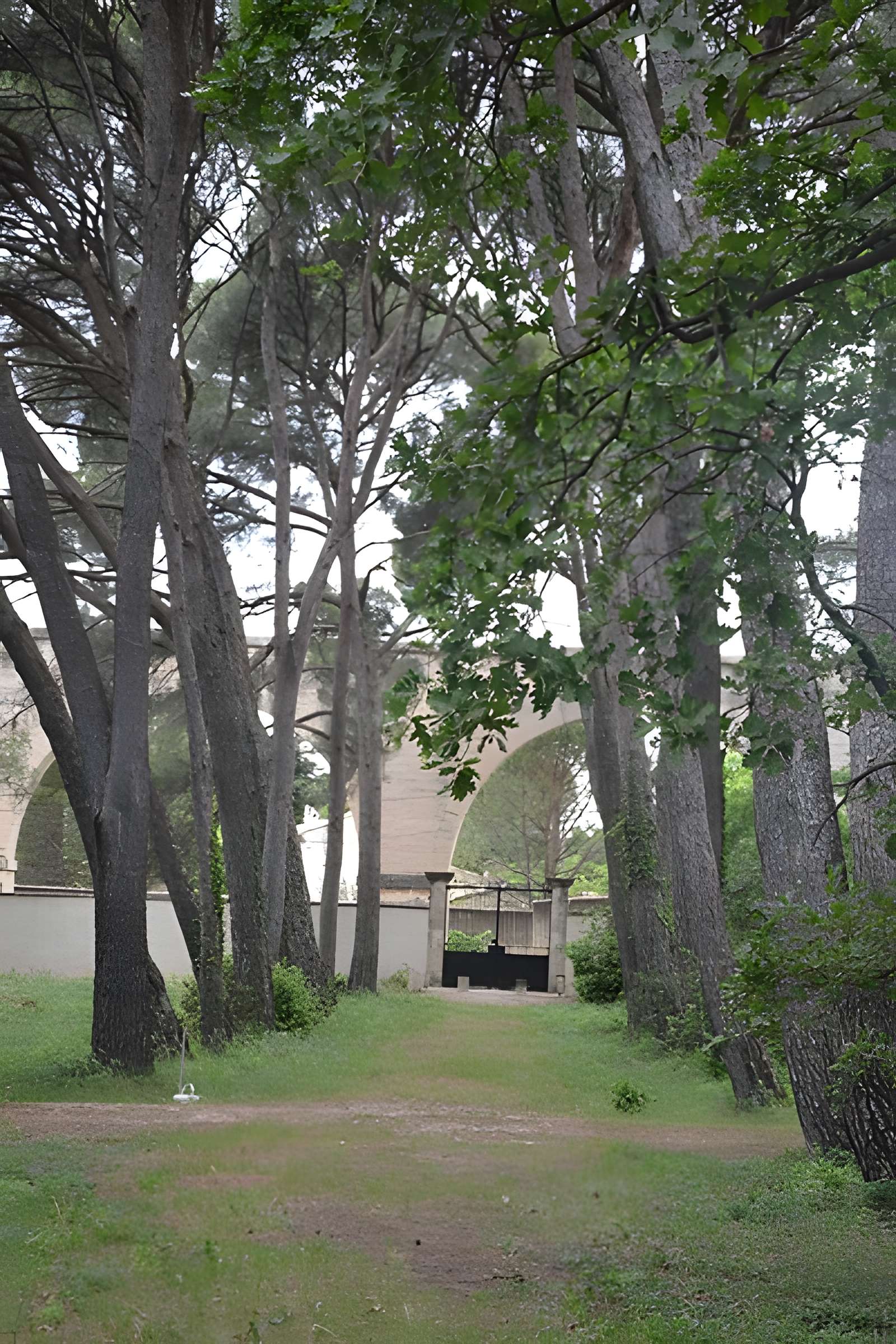 Cimetière juif de Carpentras