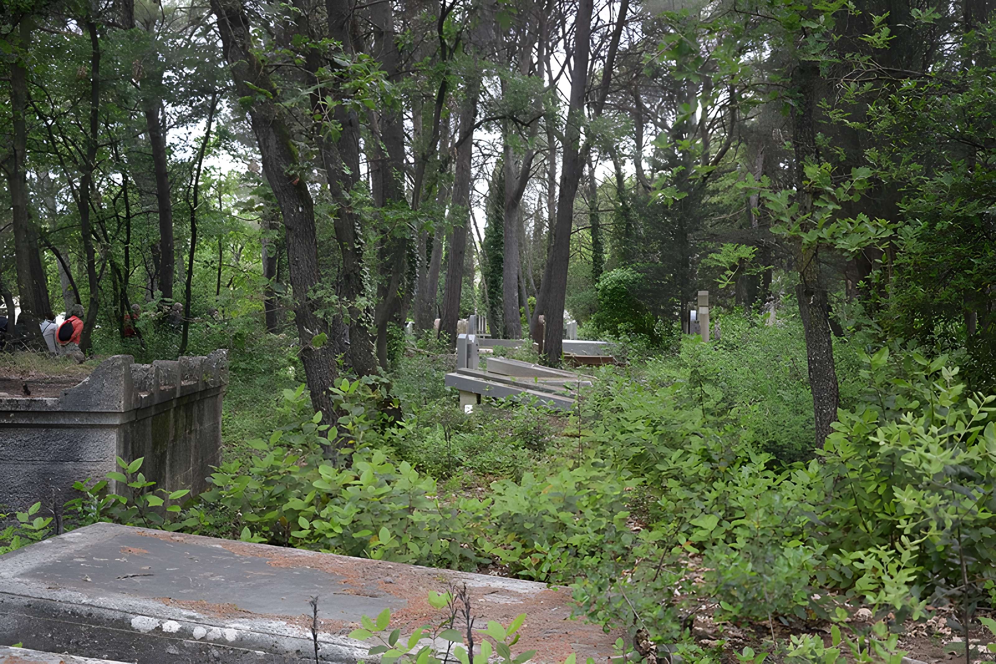 Cimetière juif de Carpentras
