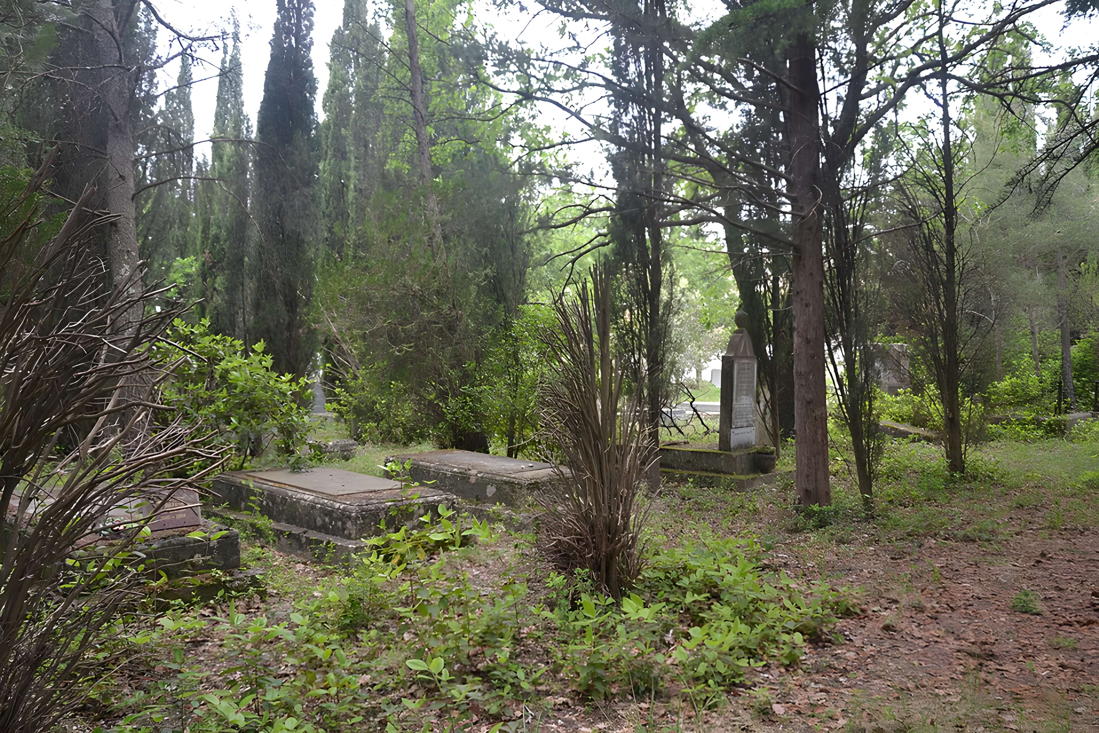 Cimetière juif de Carpentras