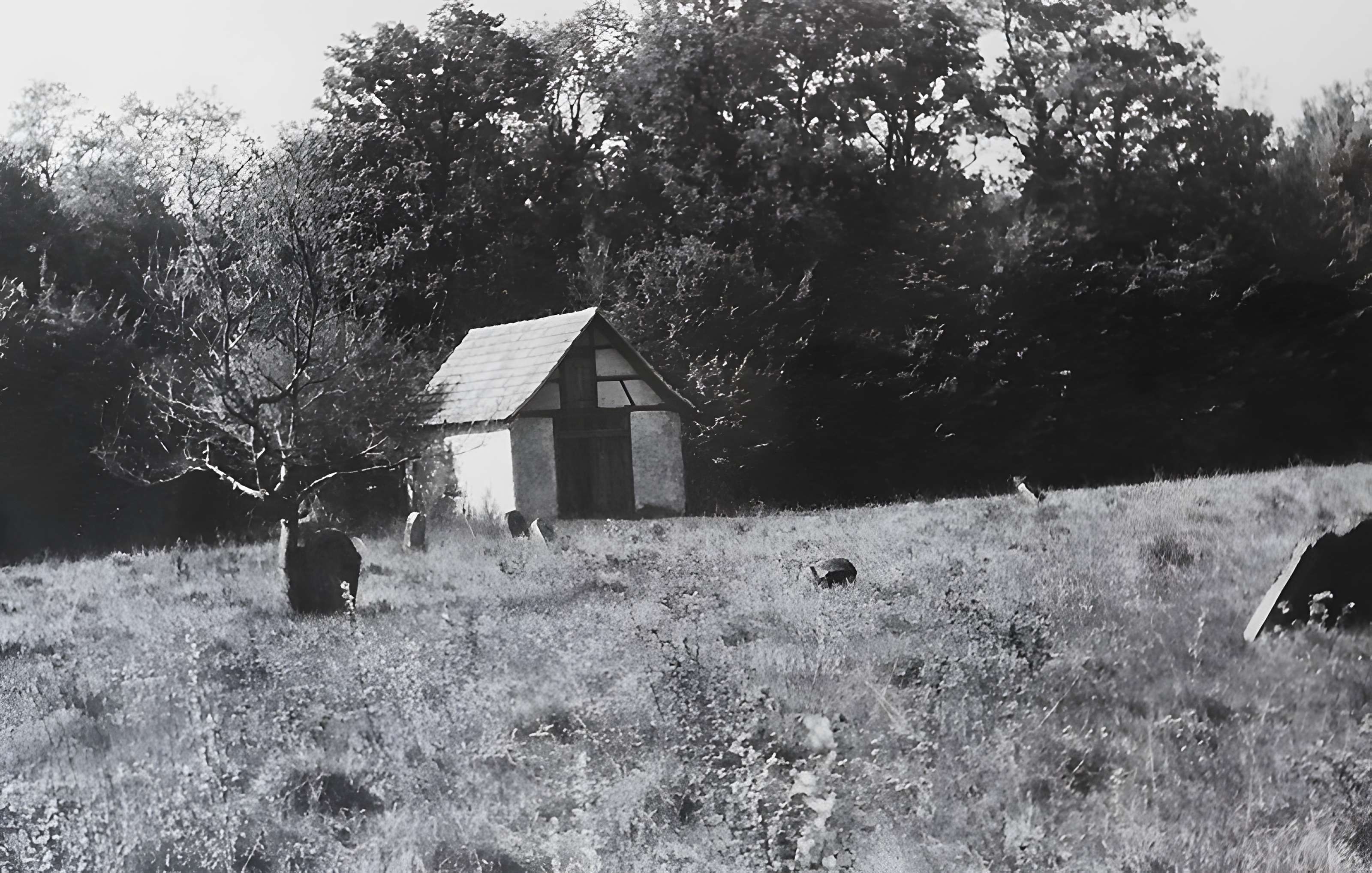 Cimetière juif de Mackenheim