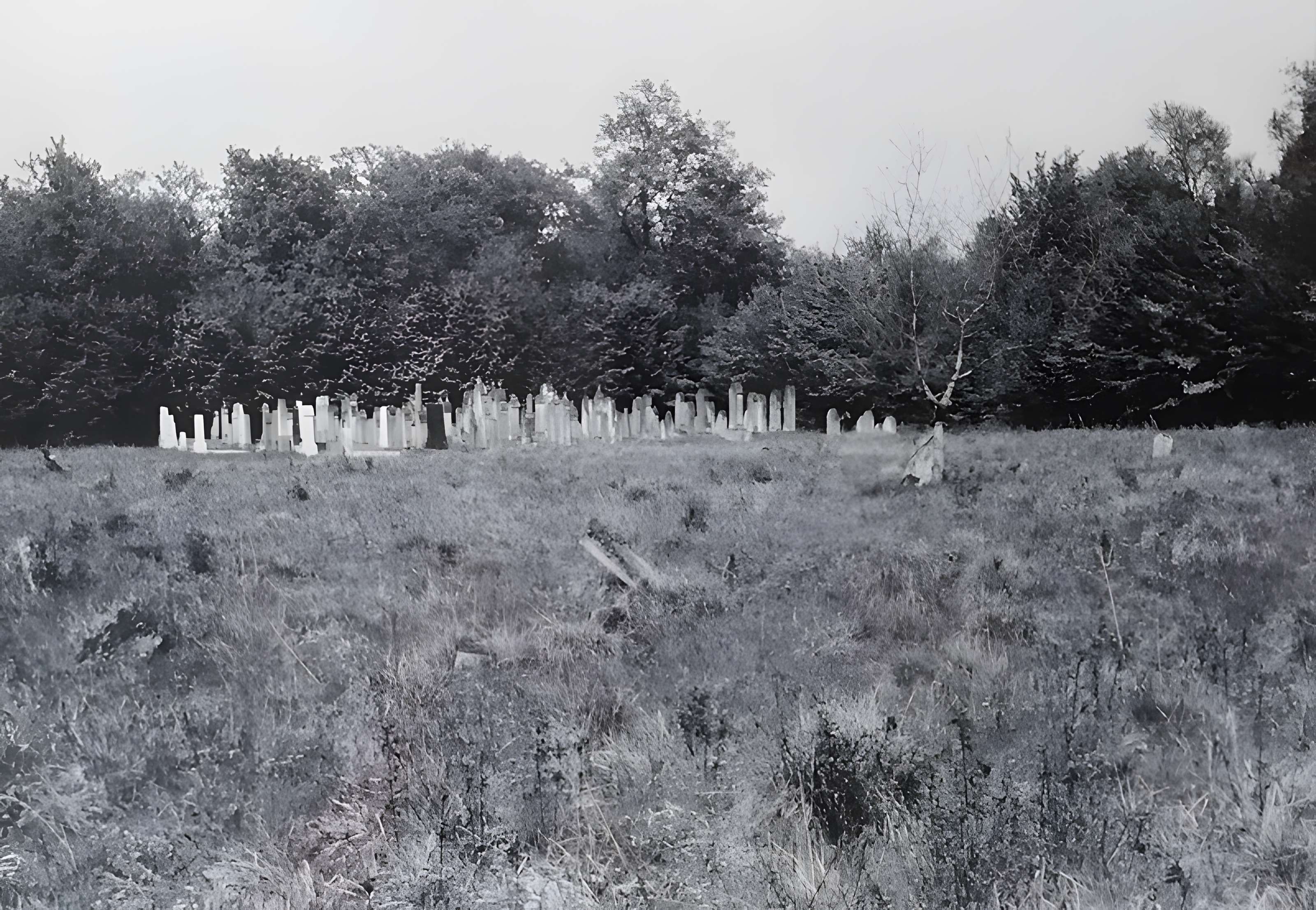 Cimetière juif de Mackenheim