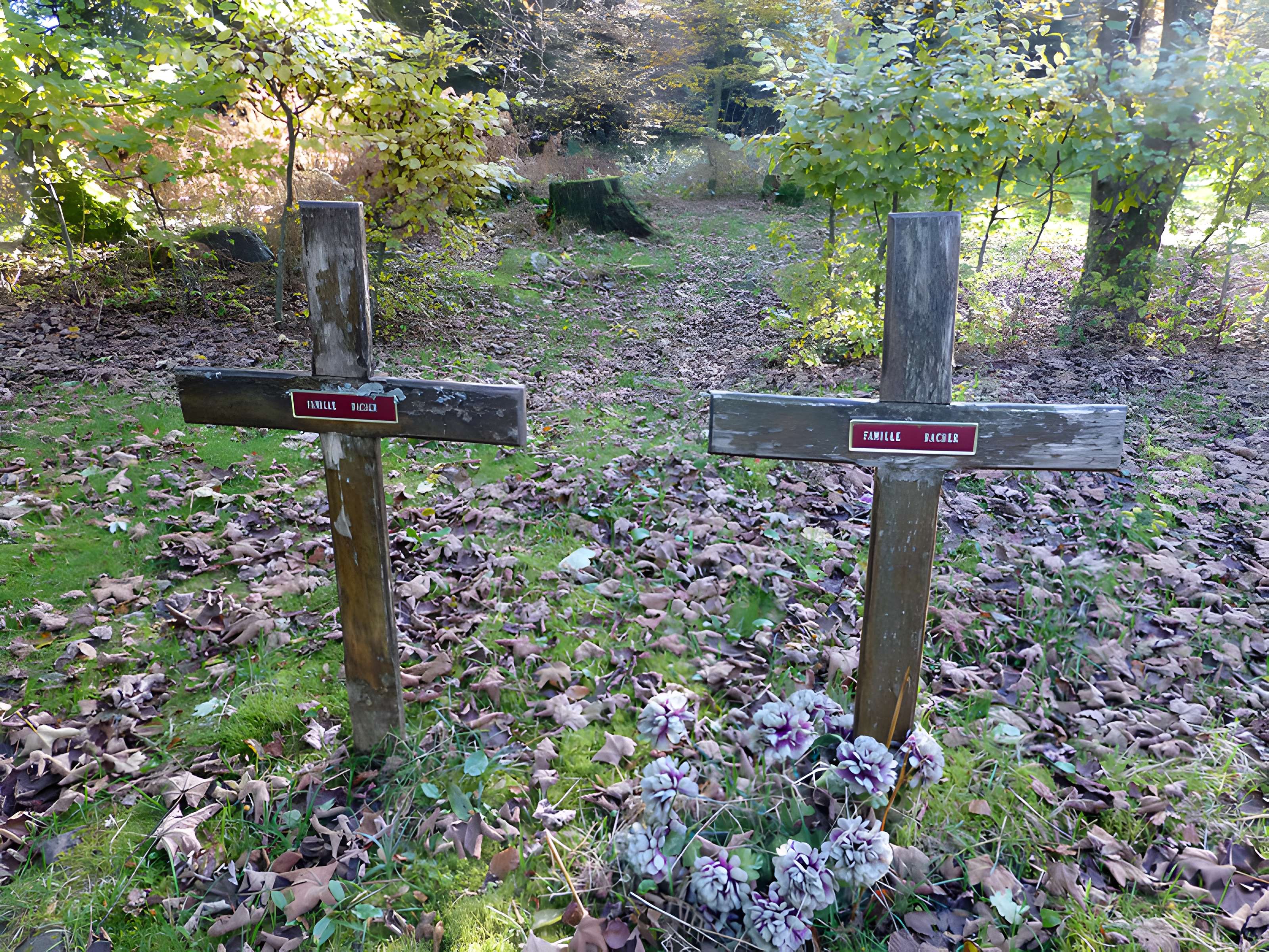 Cimetière mennonite de Salm à La Broque