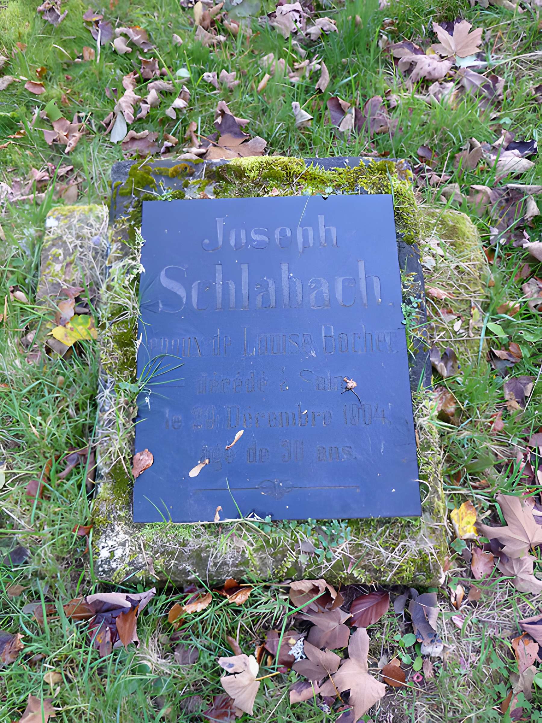 Cimetière mennonite de Salm à La Broque