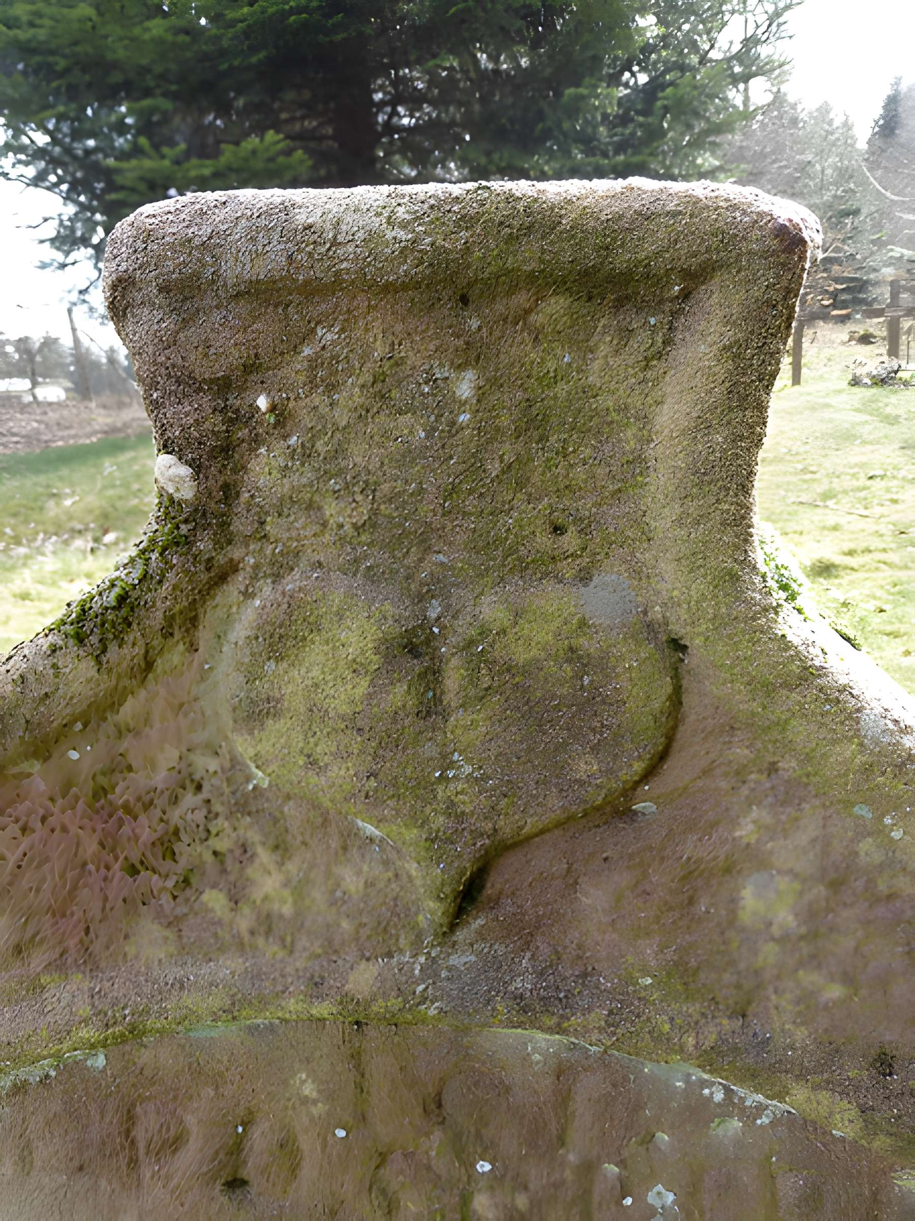 Cimetière mennonite de Salm à La Broque