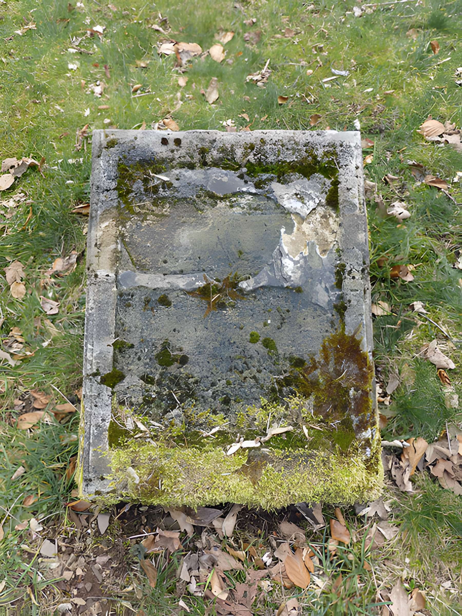 Cimetière mennonite de Salm à La Broque