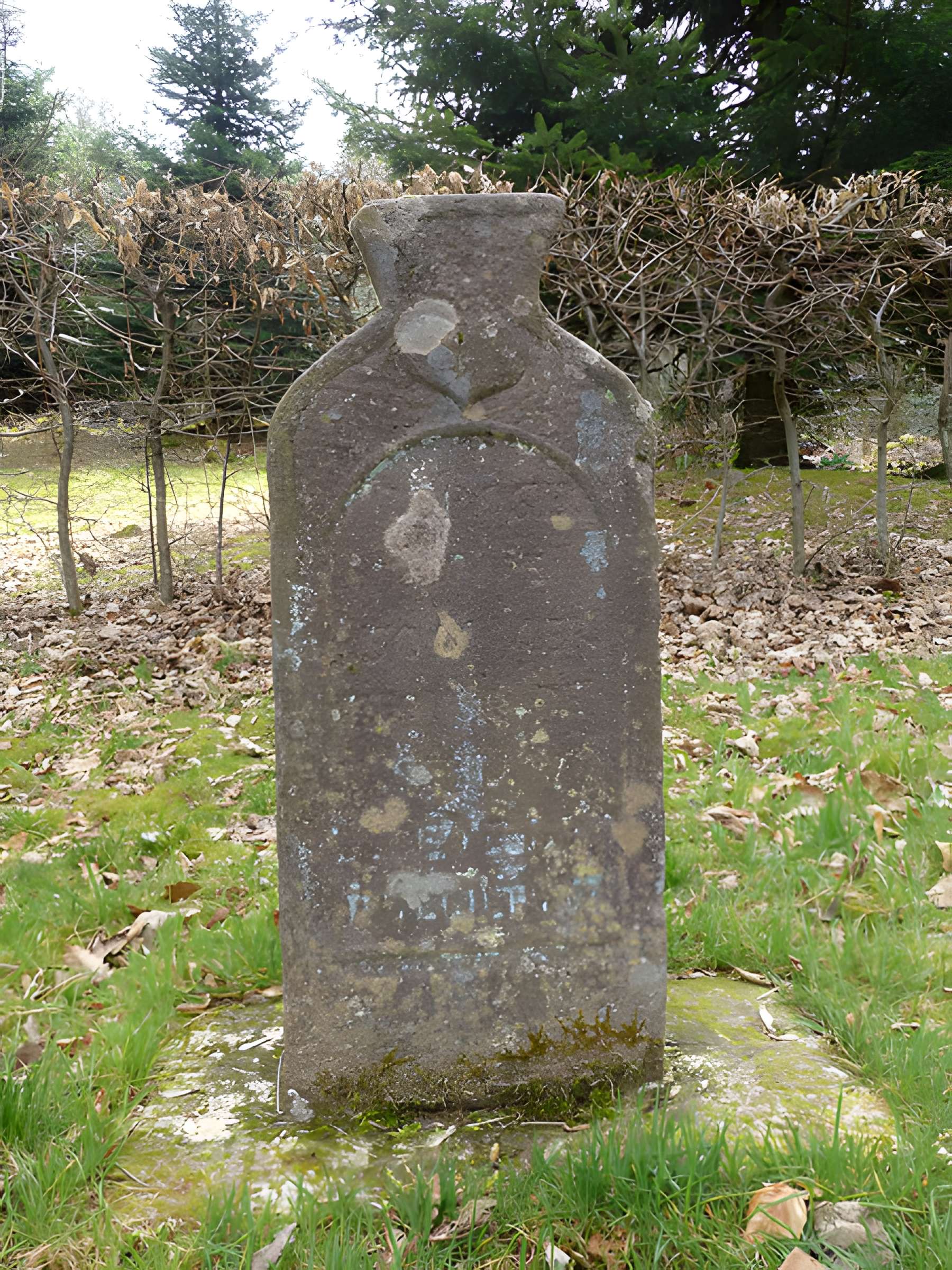 Cimetière mennonite de Salm à La Broque