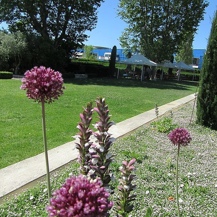 Photo de Cirque romain dArles