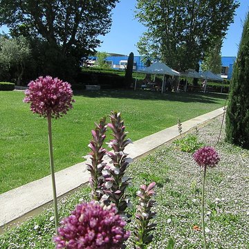 Cirque romain dArles